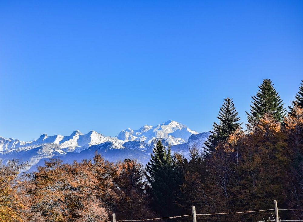 a view of a mountain range with trees in the foreground