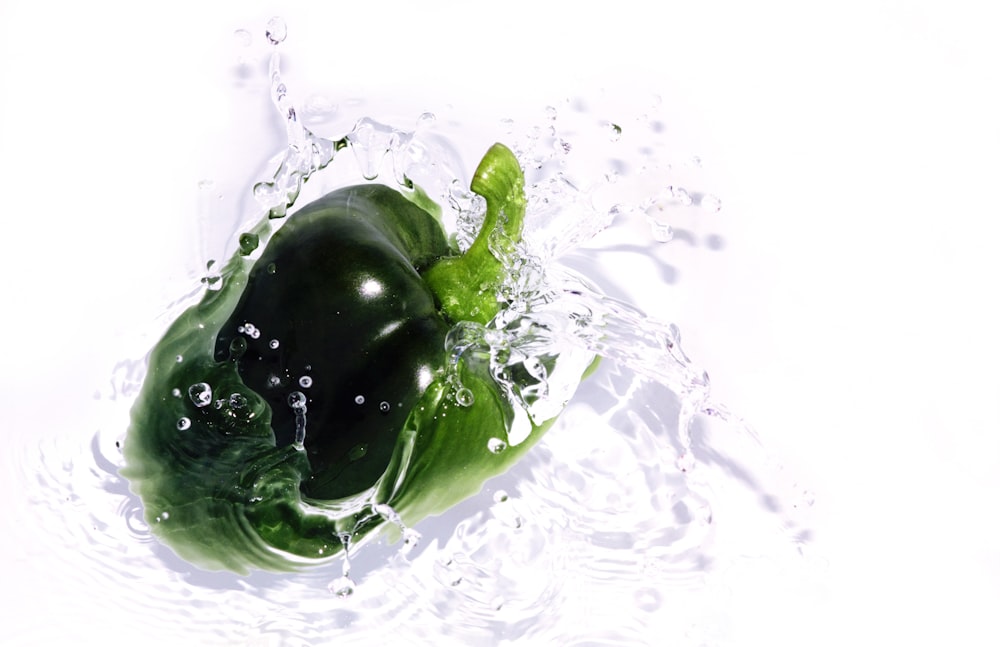 Un pimiento verde está en el agua sobre un fondo blanco