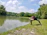 A serene morning scene with a person practicing yoga by a calm lake under a clear blue sky.