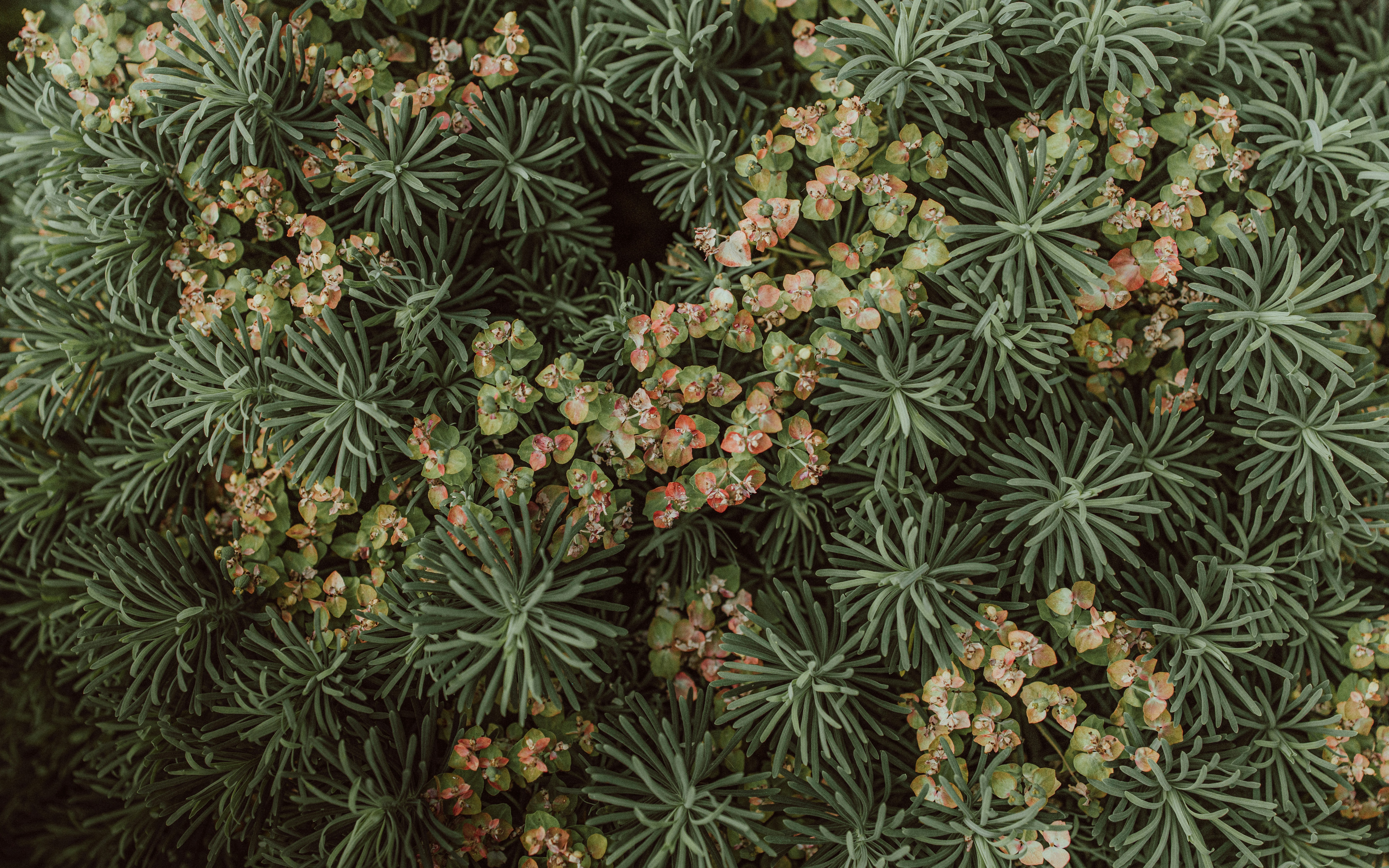 Mapping Hotspots: A National Patchwork (image credits: unsplash)