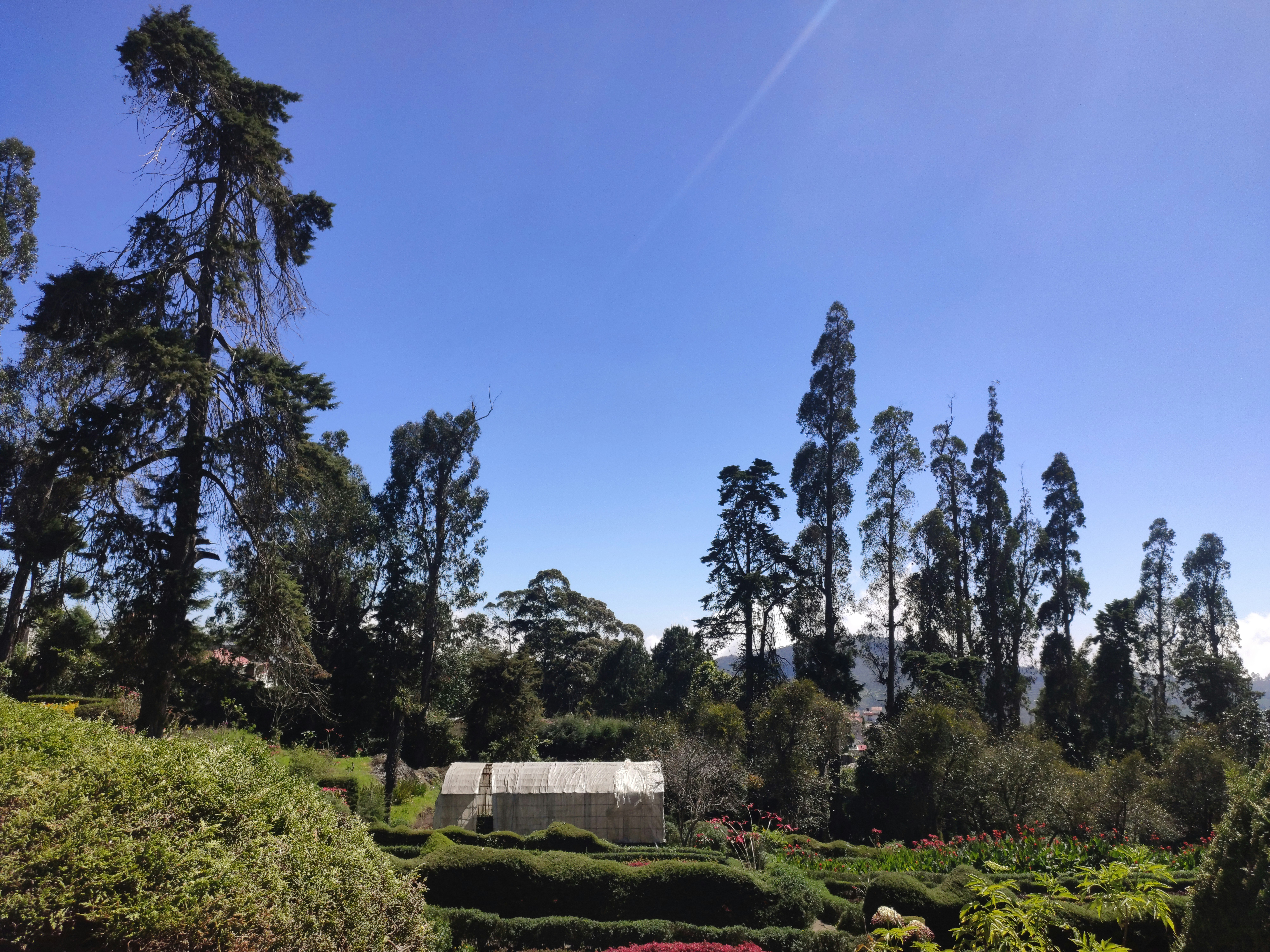 Lush green botanical garden with tall trees, winding paths, and a Victorian glass greenhouse under bright blue sky