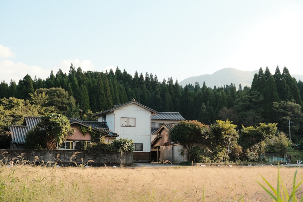 a house in the middle of a field with trees in the background