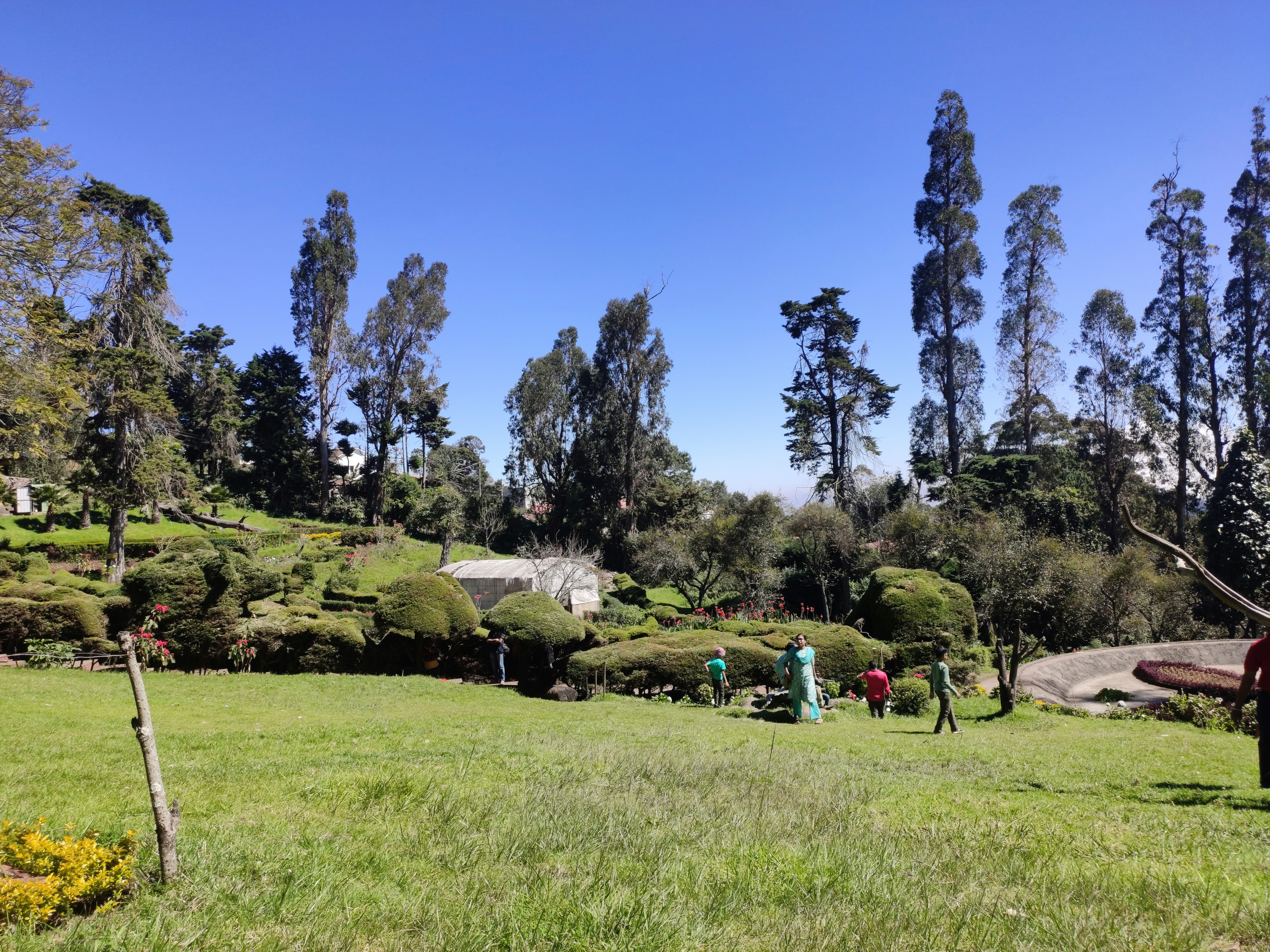 Essential Gardening Maintenance Tips for Year-Round Freshness