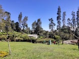 A well-maintained garden area with neatly trimmed bushes and tall trees in the background. A few people are working or walking in the garden, surrounded by vibrant greenery under a clear blue sky.