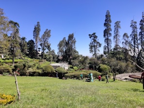 A well-maintained garden area with neatly trimmed bushes and tall trees in the background. A few people are working or walking in the garden, surrounded by vibrant greenery under a clear blue sky.