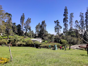A professional landscaping crew working on a lush residential garden under a bright sky.