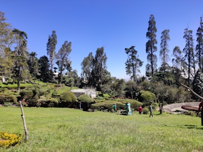 Volunteers planting trees in a community garden under a bright blue sky.