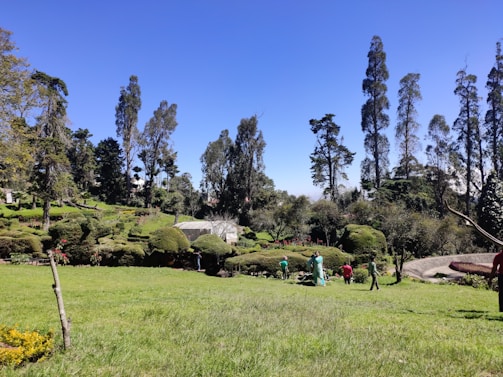Landscaping crew trimming lush greenery outside a modern strata complex under a clear blue sky.