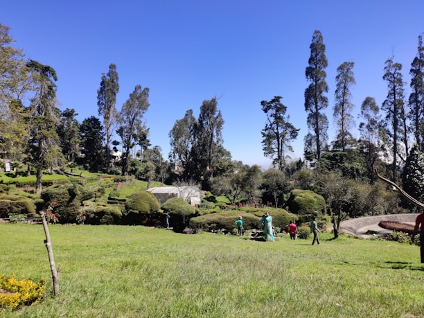 A well-maintained garden area with neatly trimmed bushes and tall trees in the background. A few people are working or walking in the garden, surrounded by vibrant greenery under a clear blue sky.