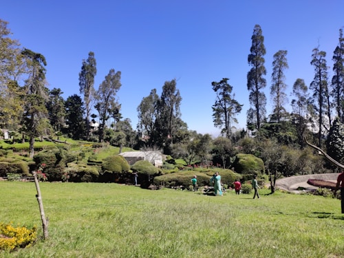 A well-maintained garden area with neatly trimmed bushes and tall trees in the background. A few people are working or walking in the garden, surrounded by vibrant greenery under a clear blue sky.