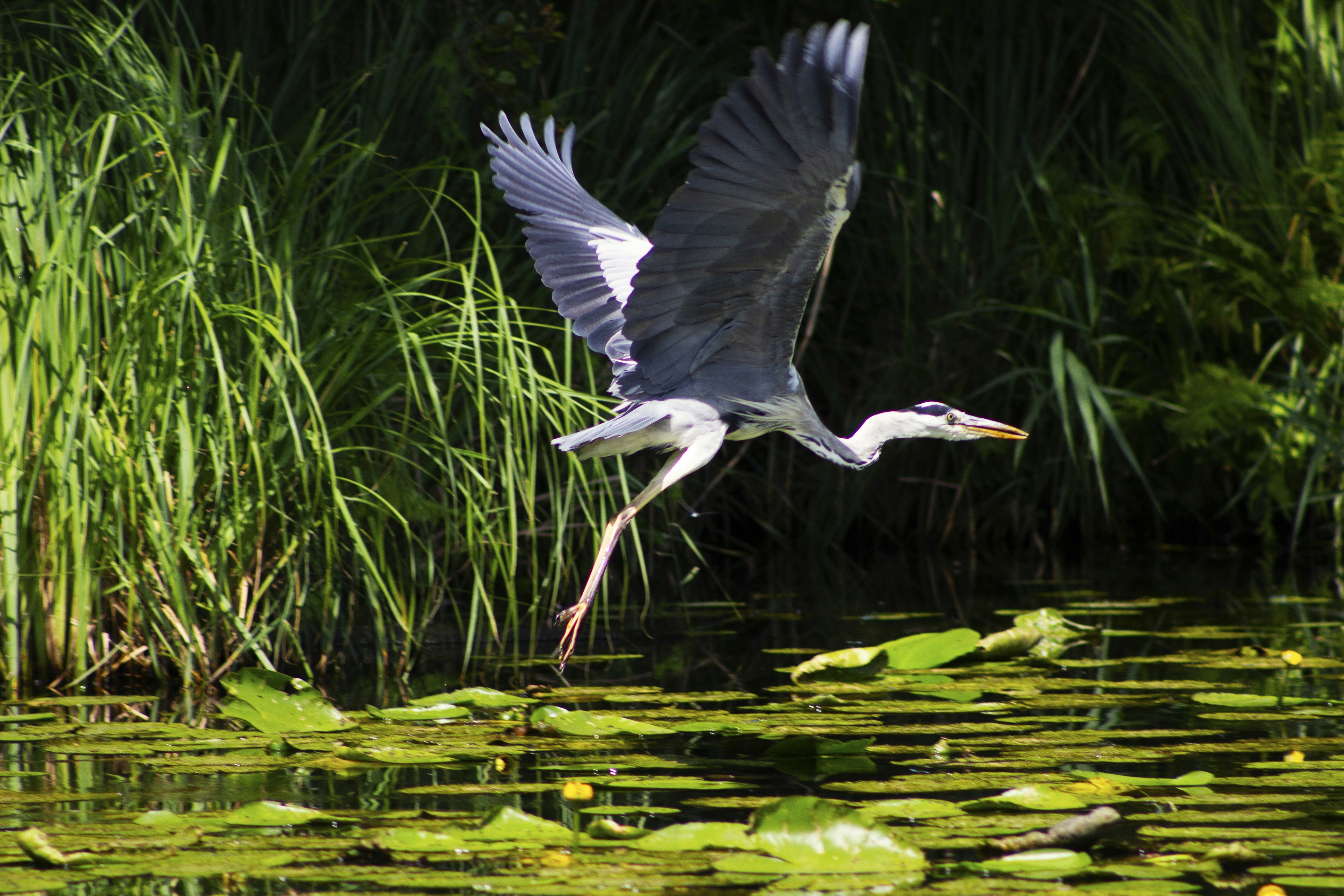 Photo by happy_sad_repeat