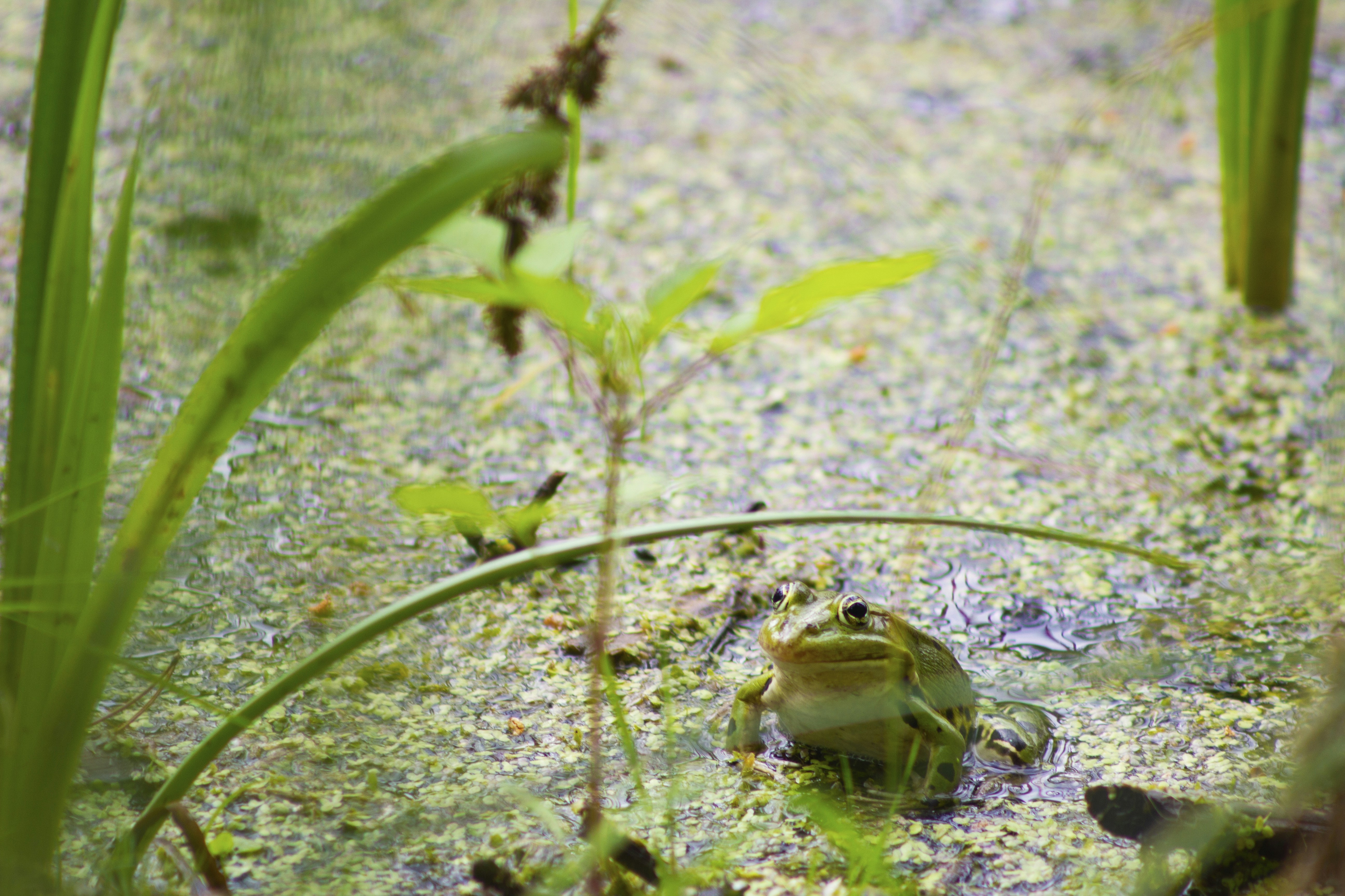 Photo by happy_sad_repeat