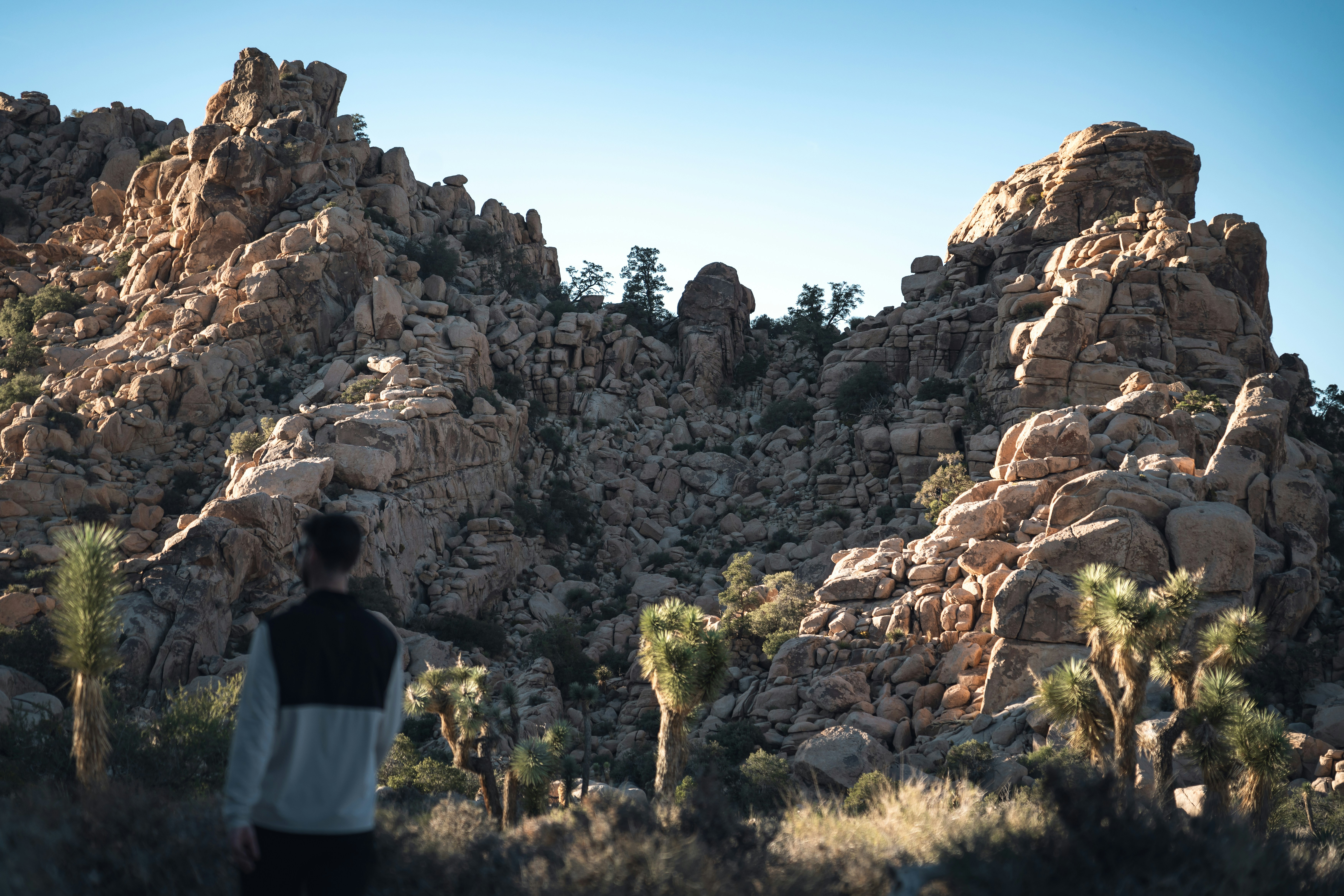 Photo by benjamincutting