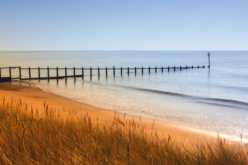 a beach with a pier and a grassy area next to it