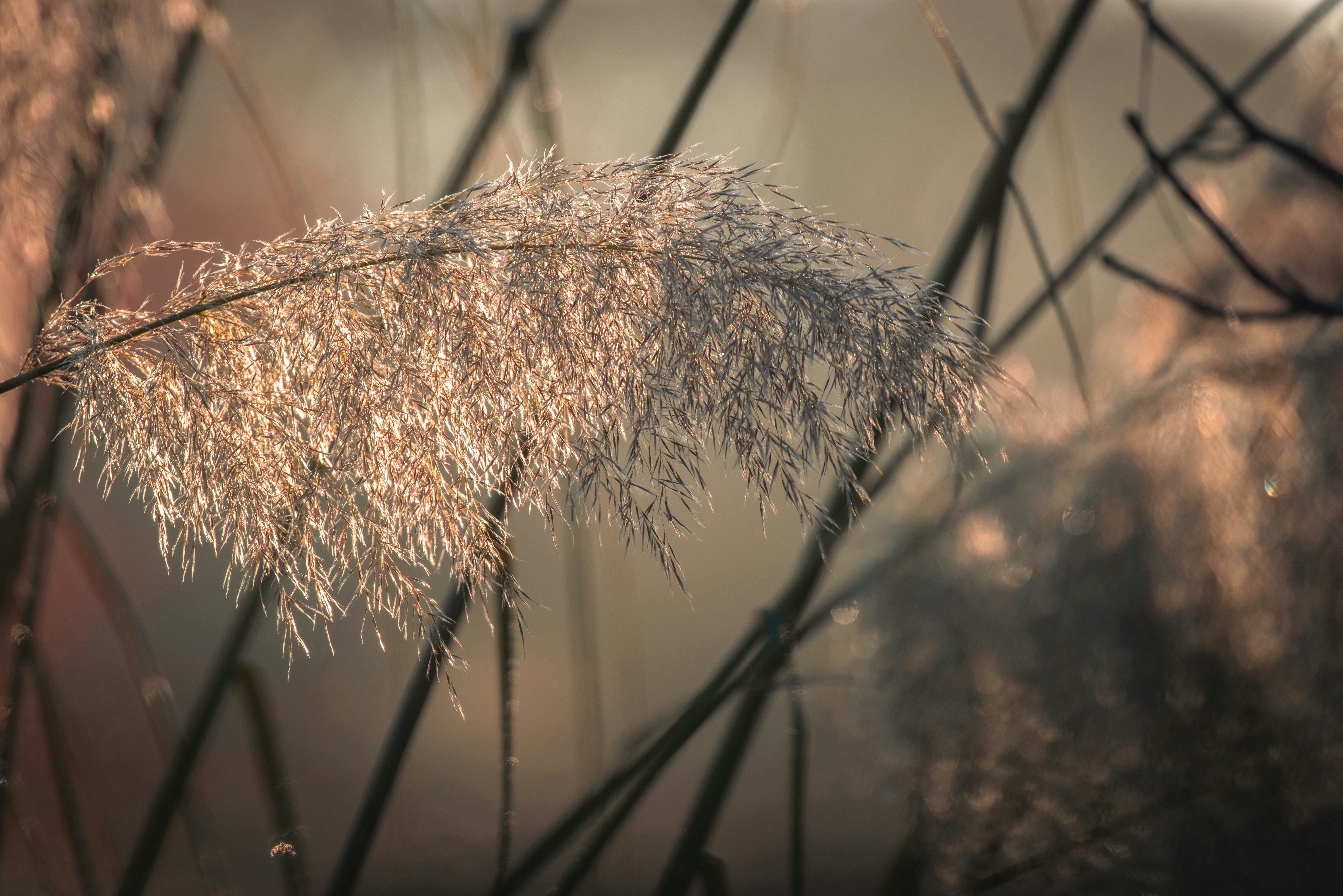 Photo by coombez