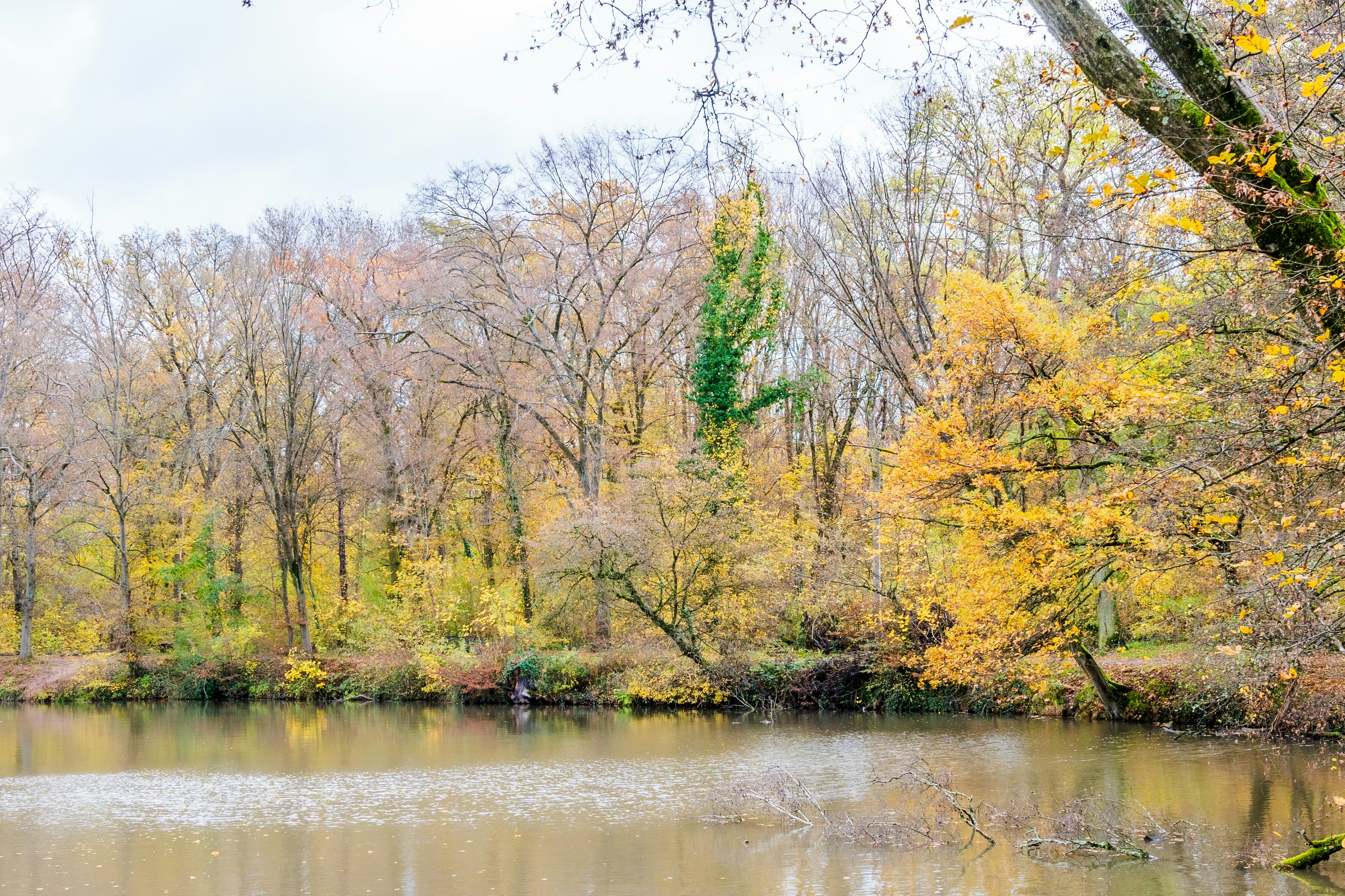 Photo by masoodaslami