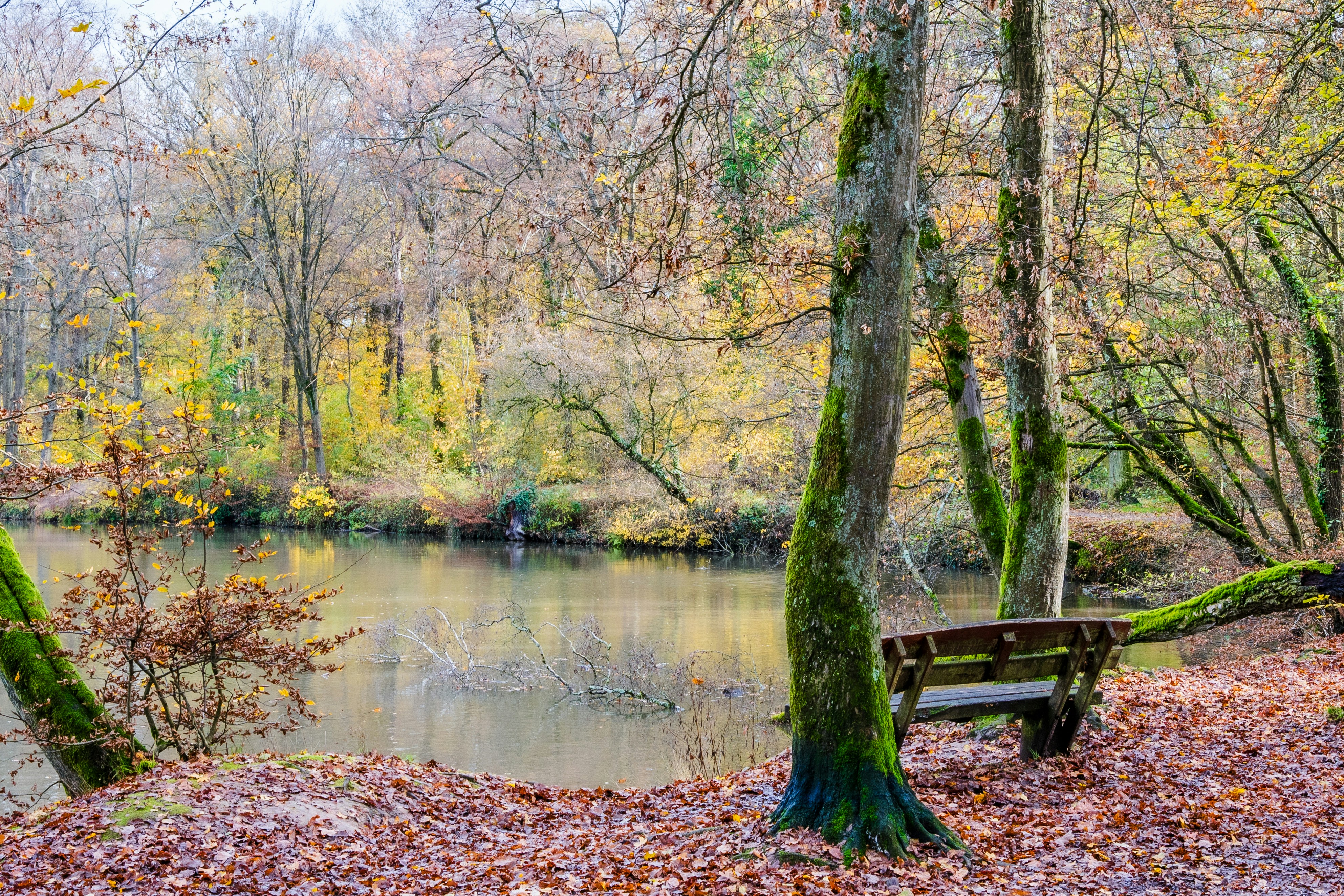 Photo by masoodaslami