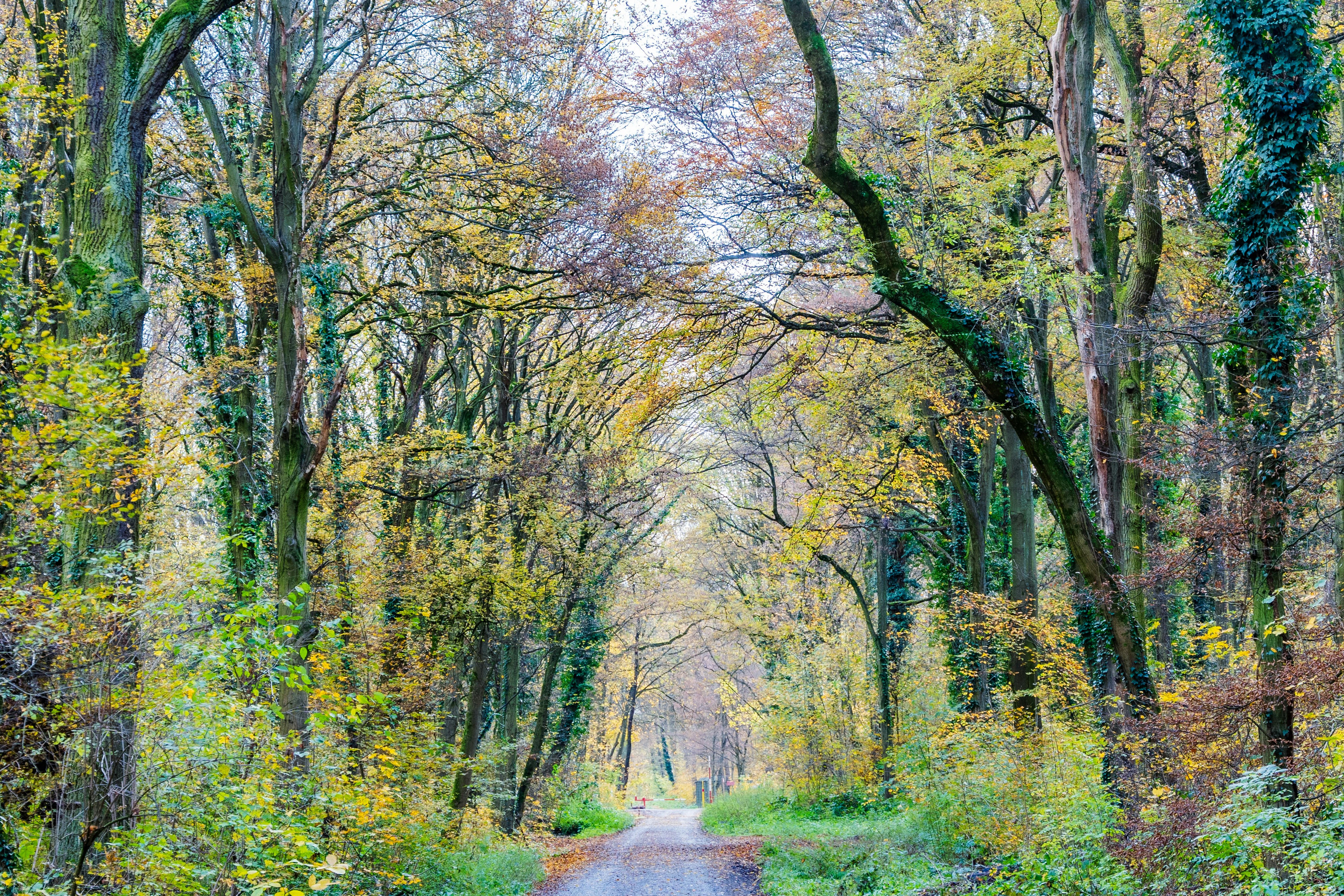 Photo by masoodaslami