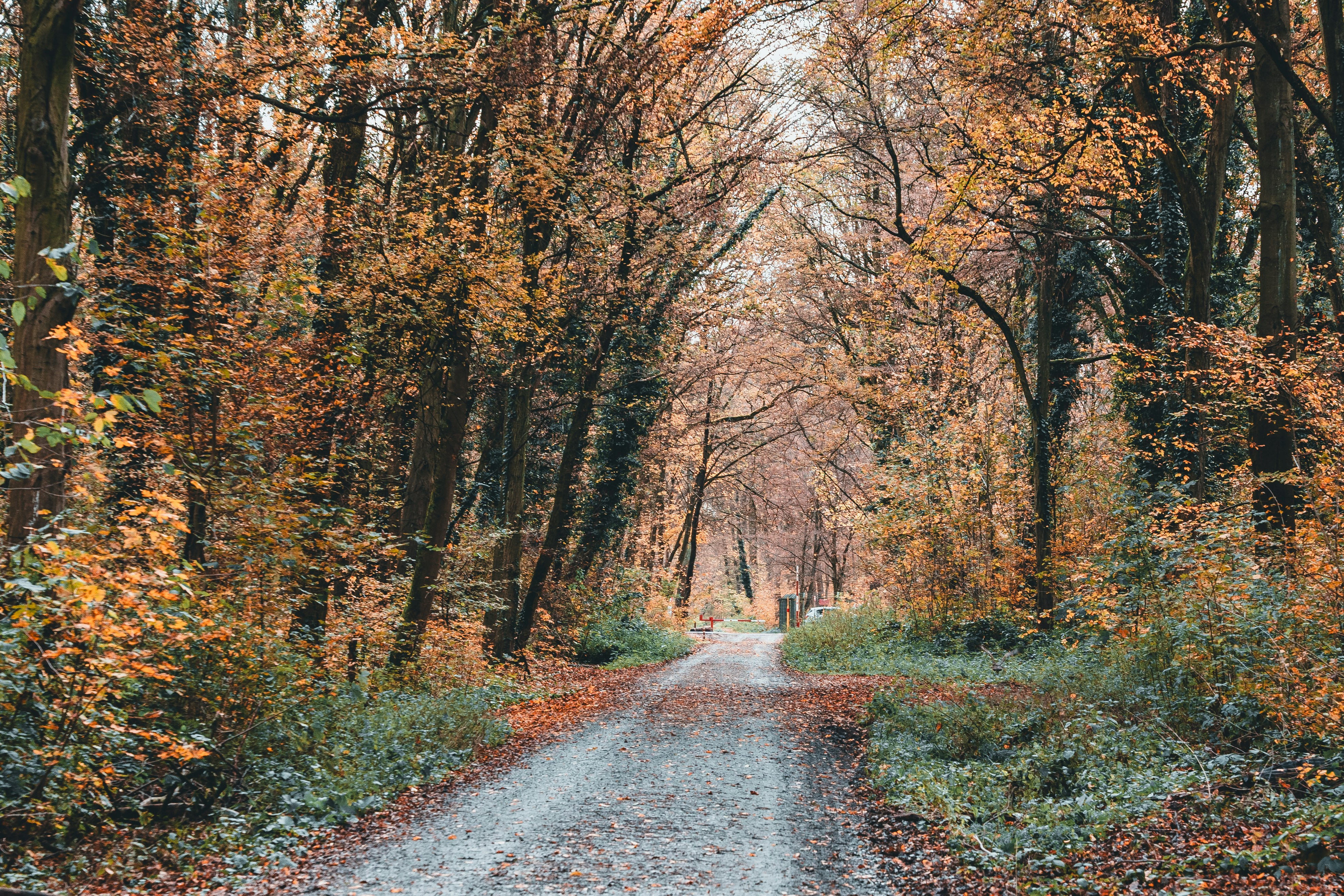 Photo by masoodaslami