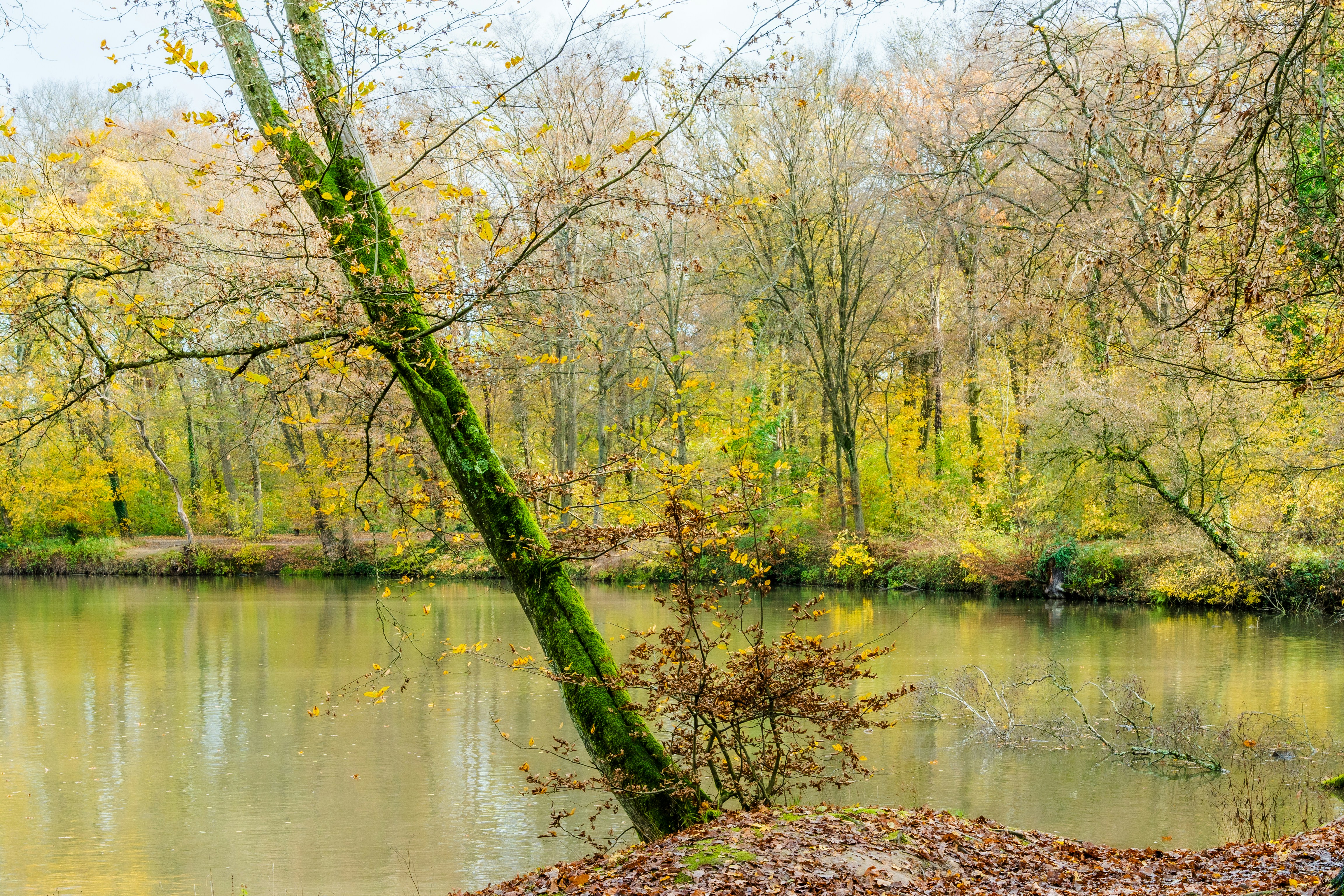 Photo by masoodaslami