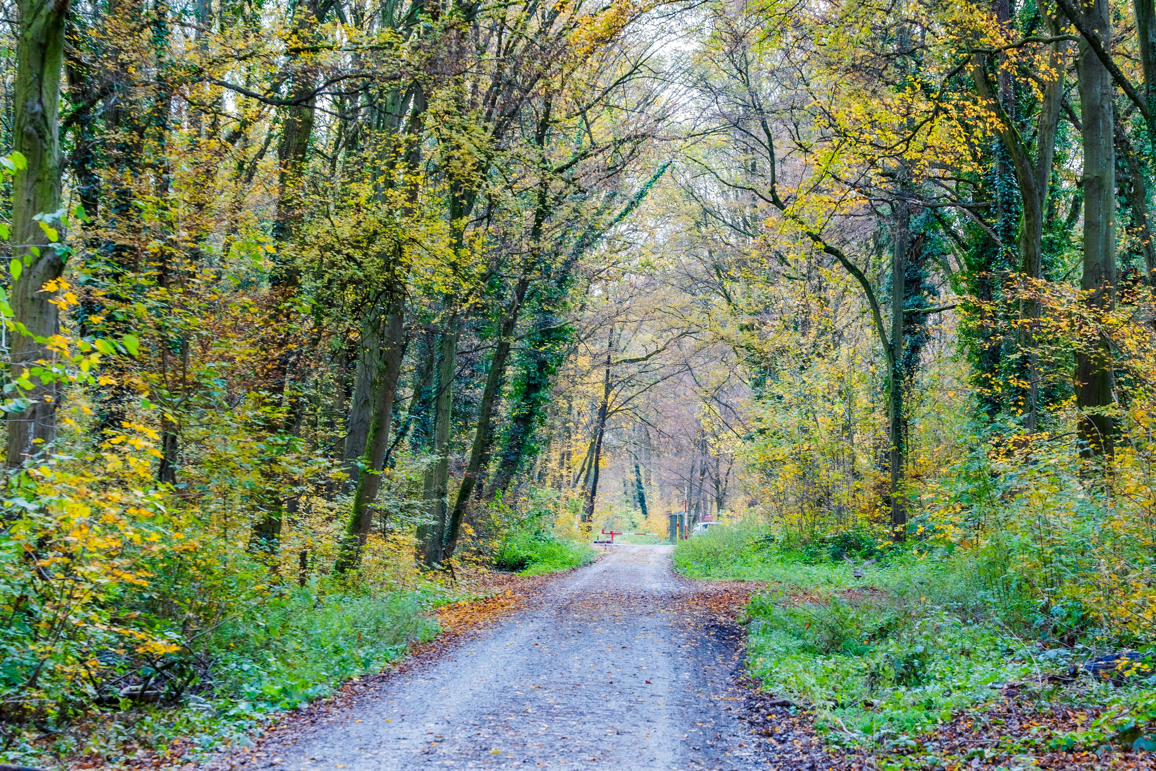 Photo by masoodaslami