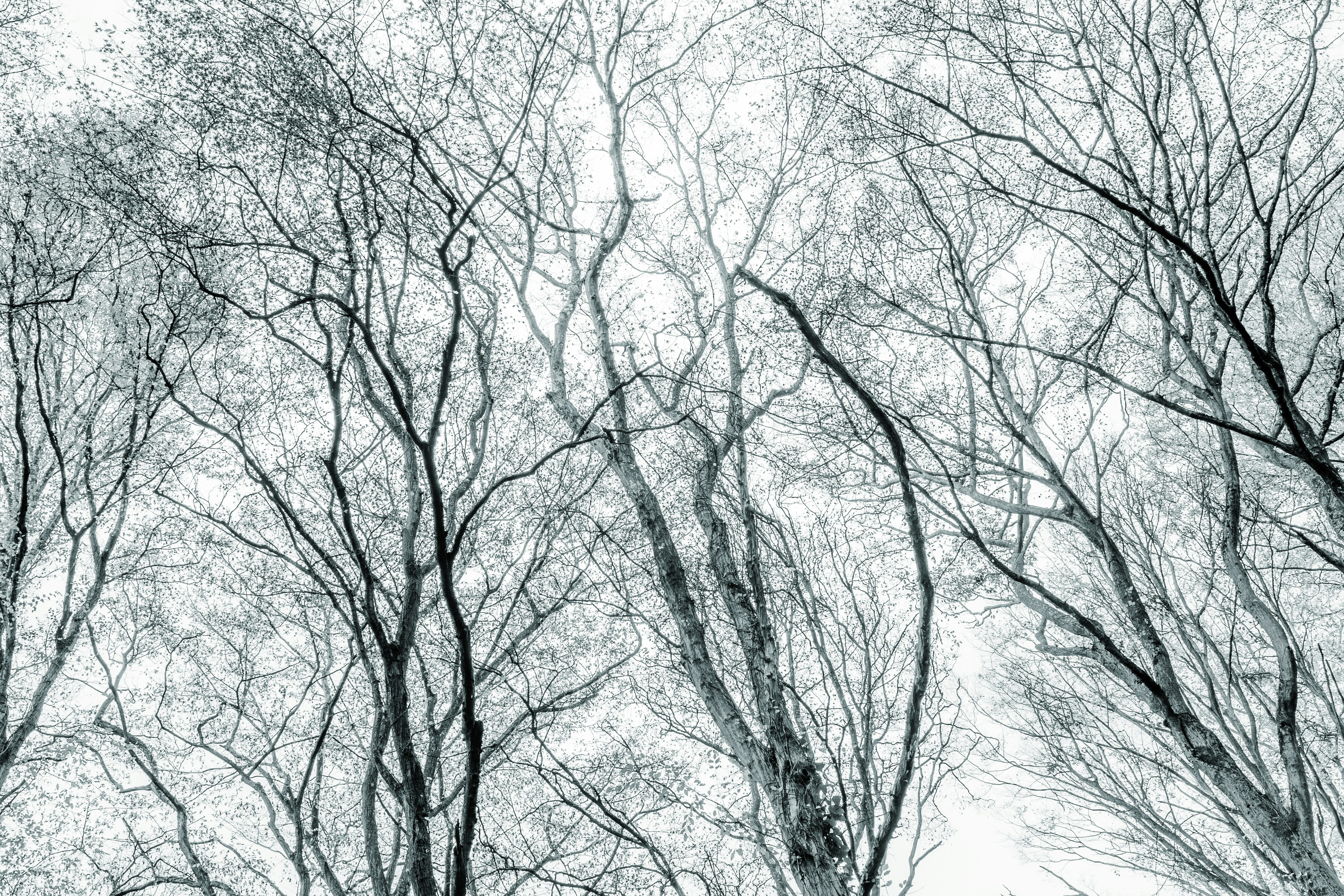 Photo by masoodaslami