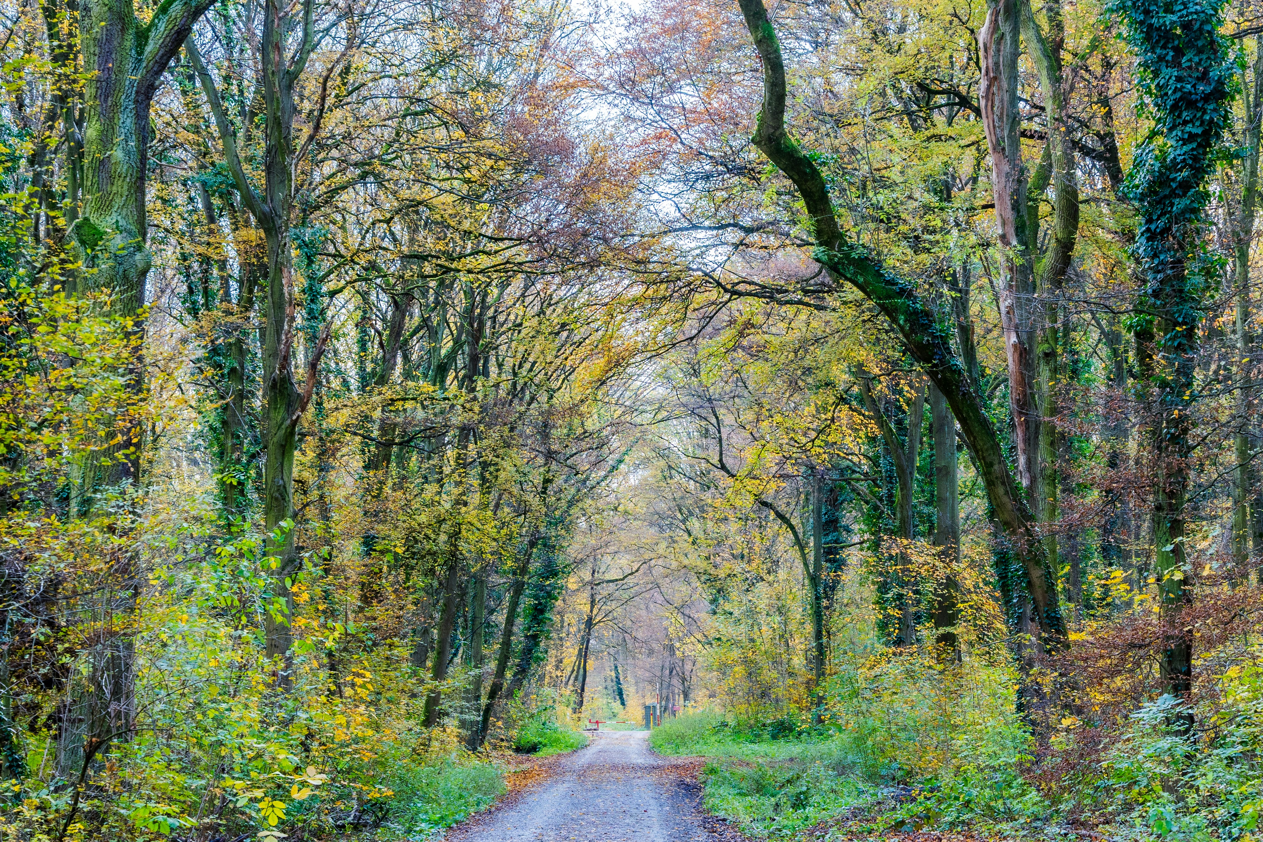 Photo by masoodaslami