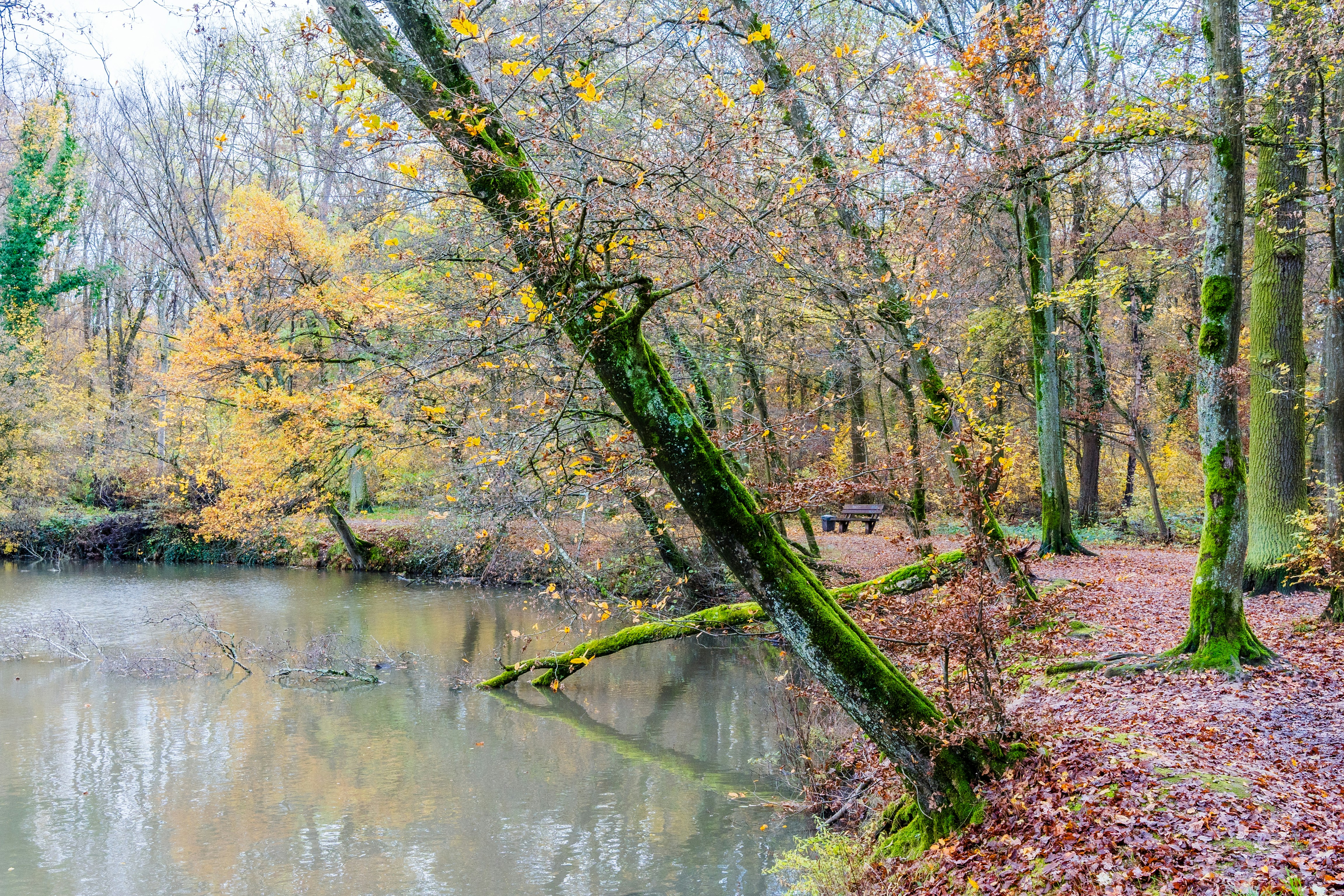 Photo by masoodaslami