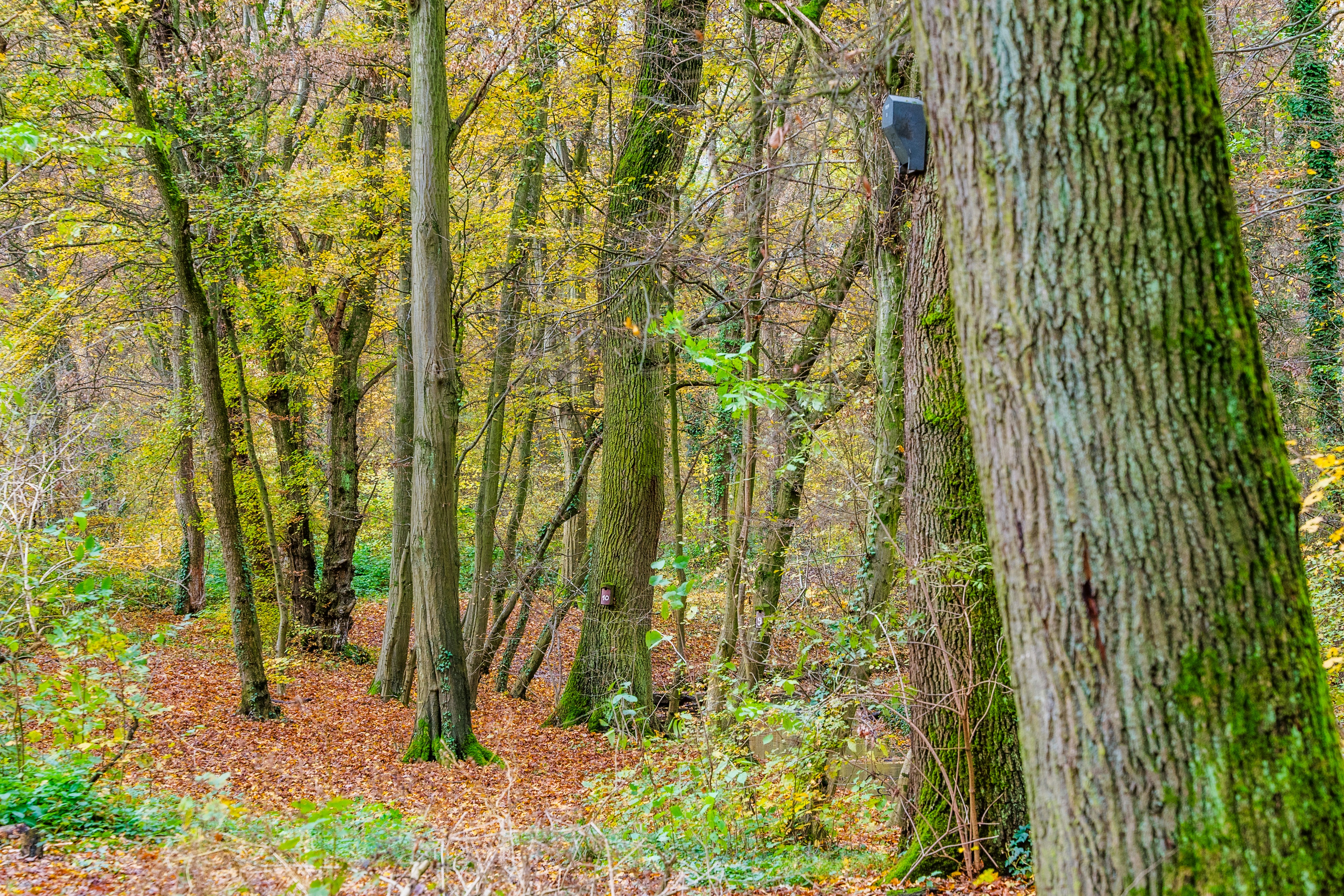 Photo by masoodaslami