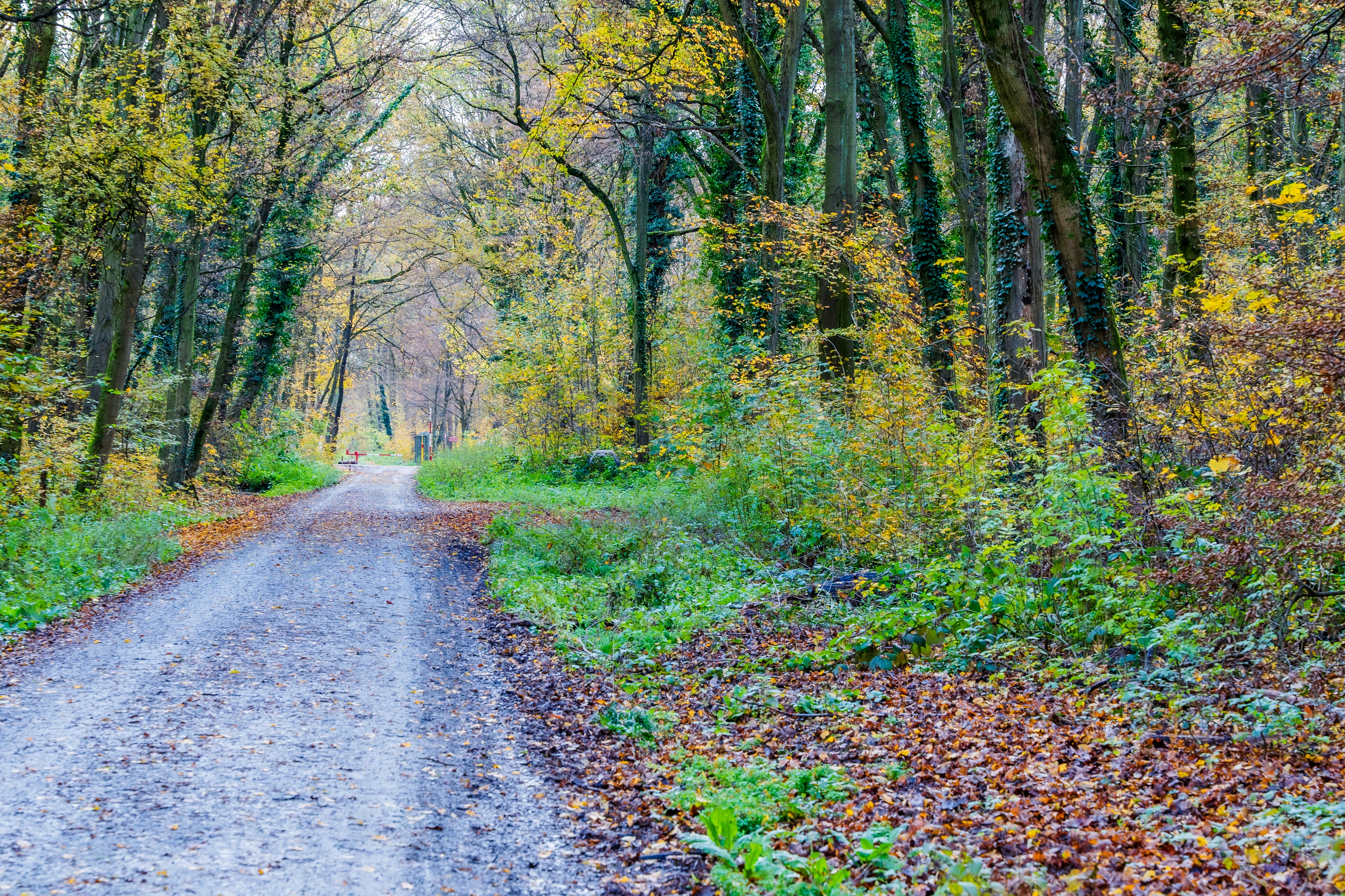 Photo by masoodaslami