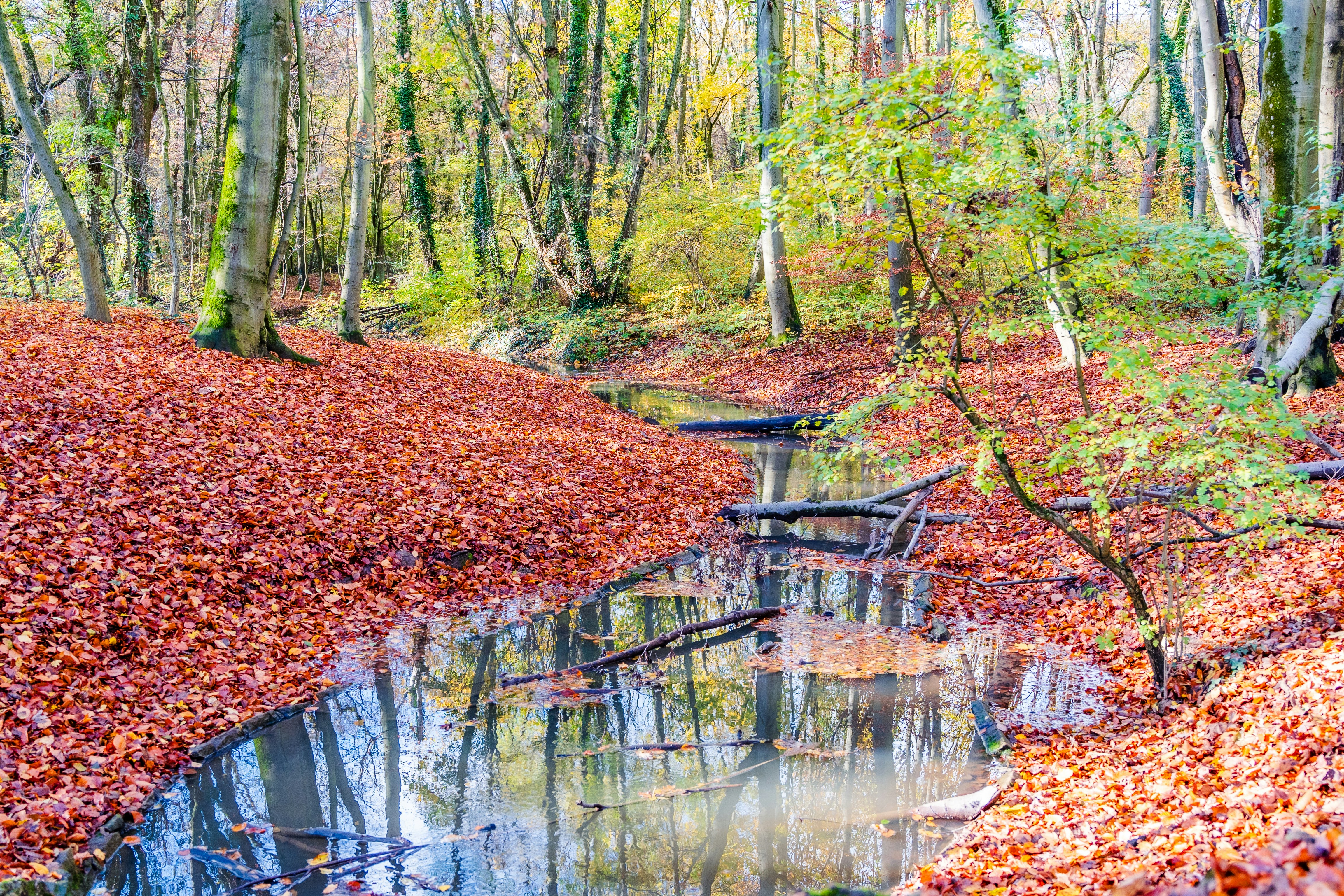 Photo by masoodaslami