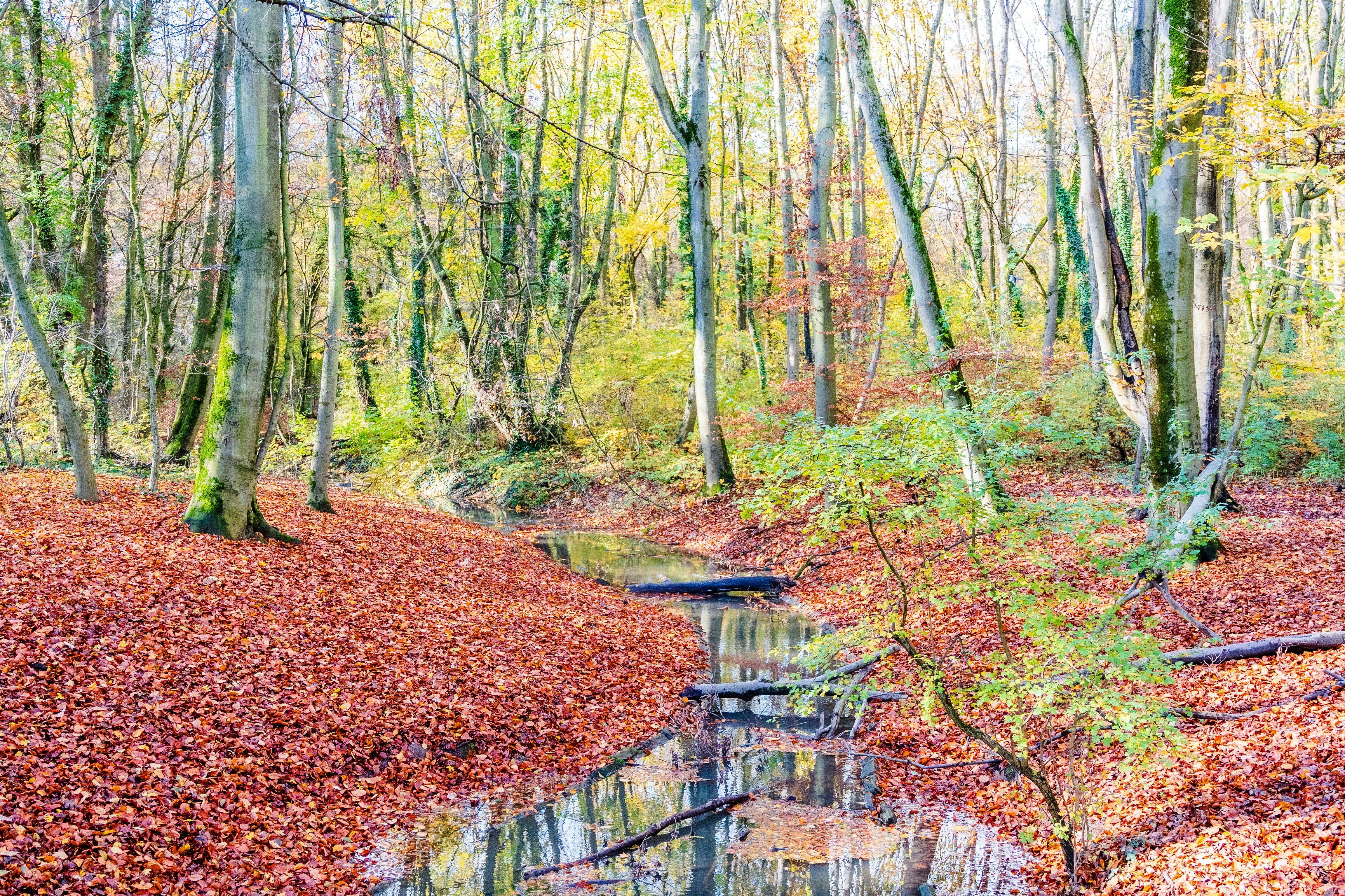 Photo by masoodaslami