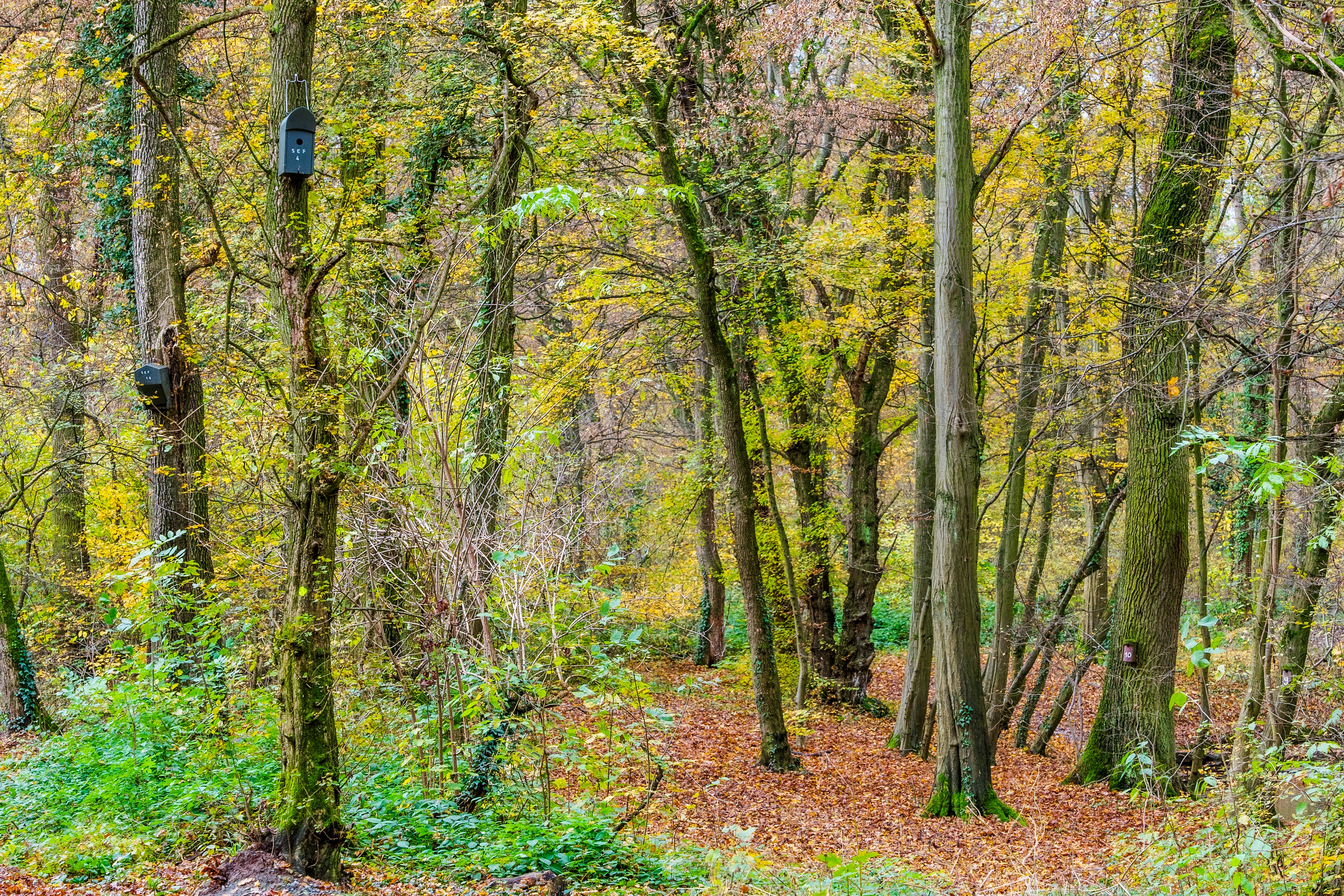 Photo by masoodaslami