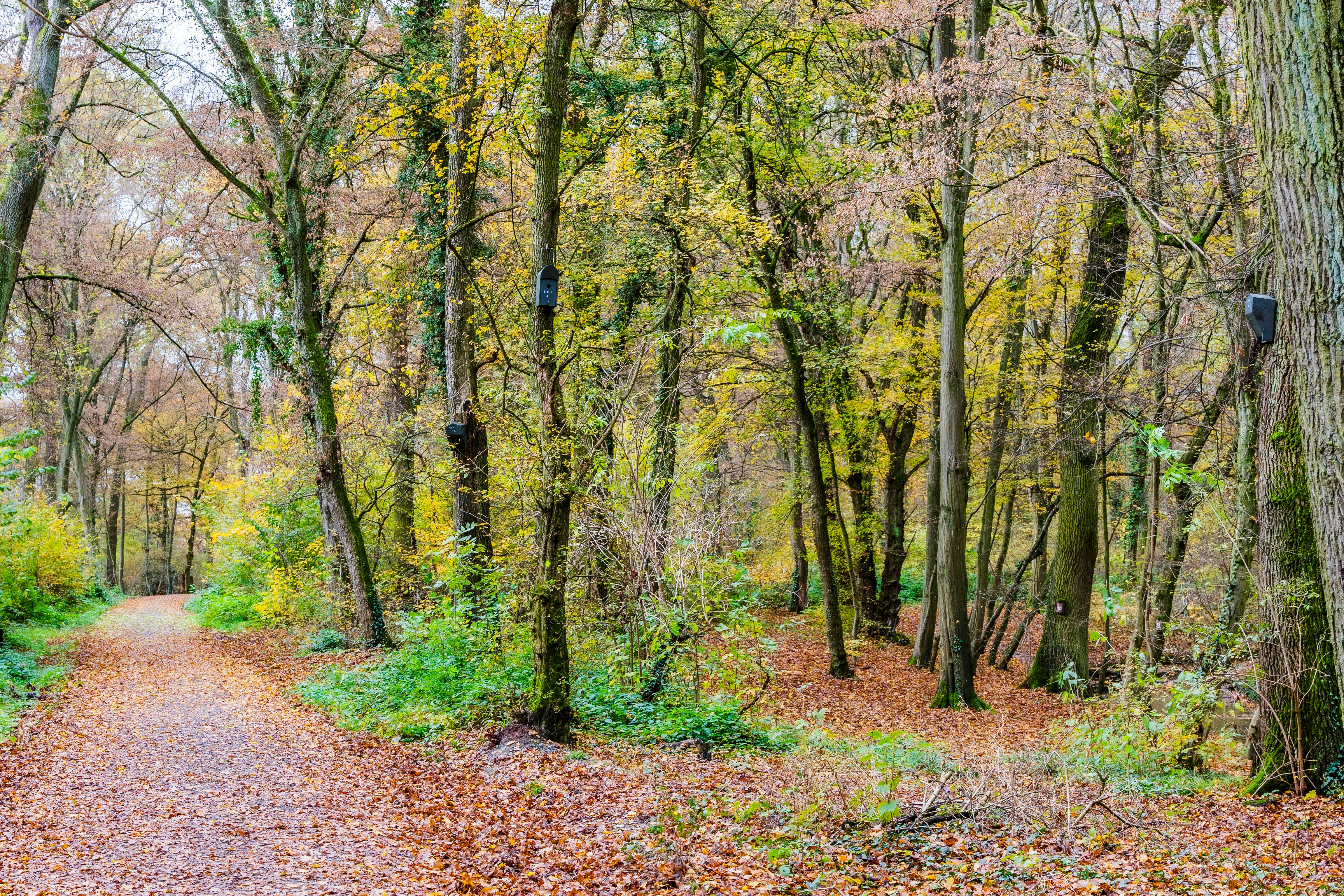 Photo by masoodaslami