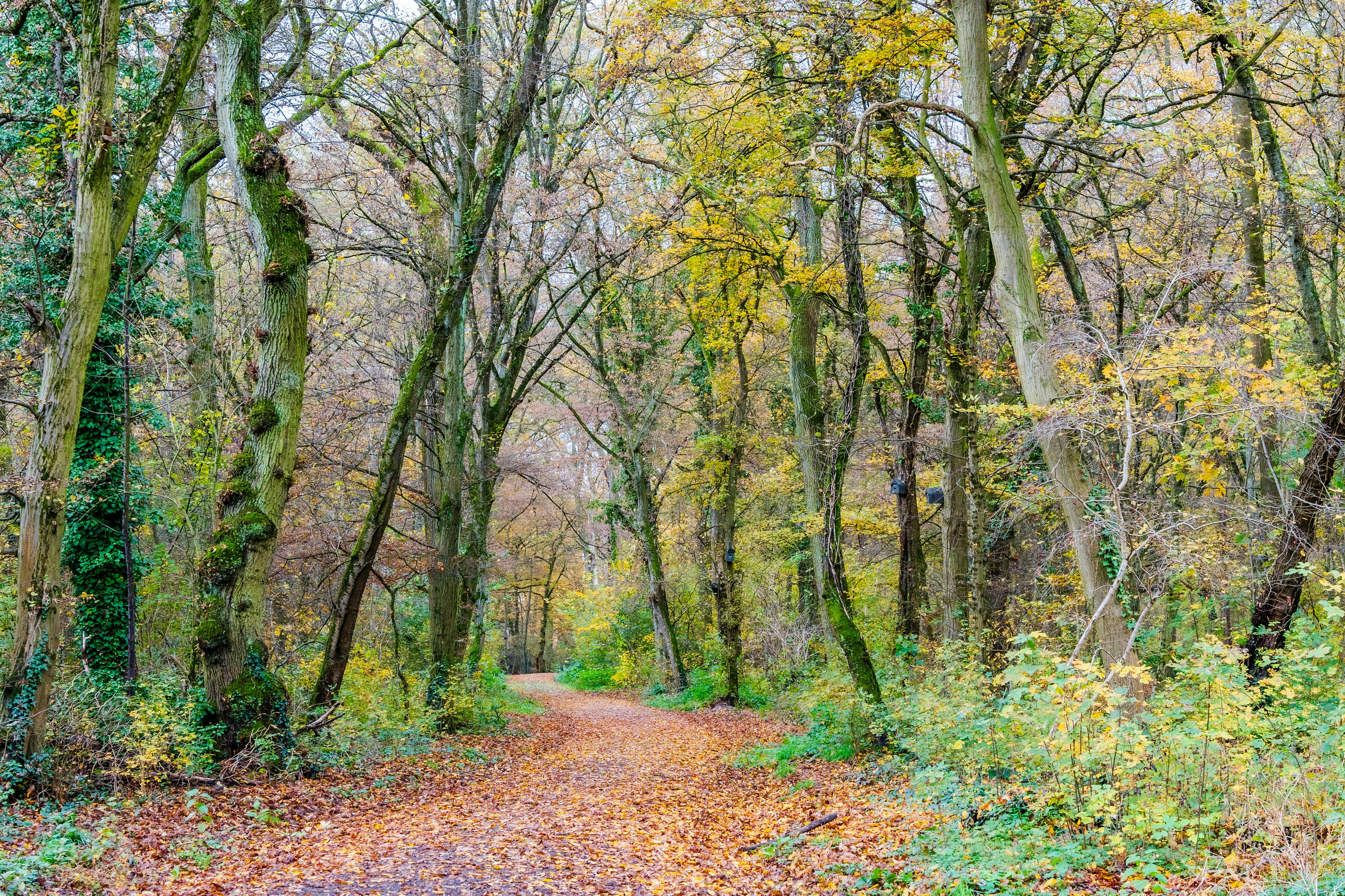 Photo by masoodaslami