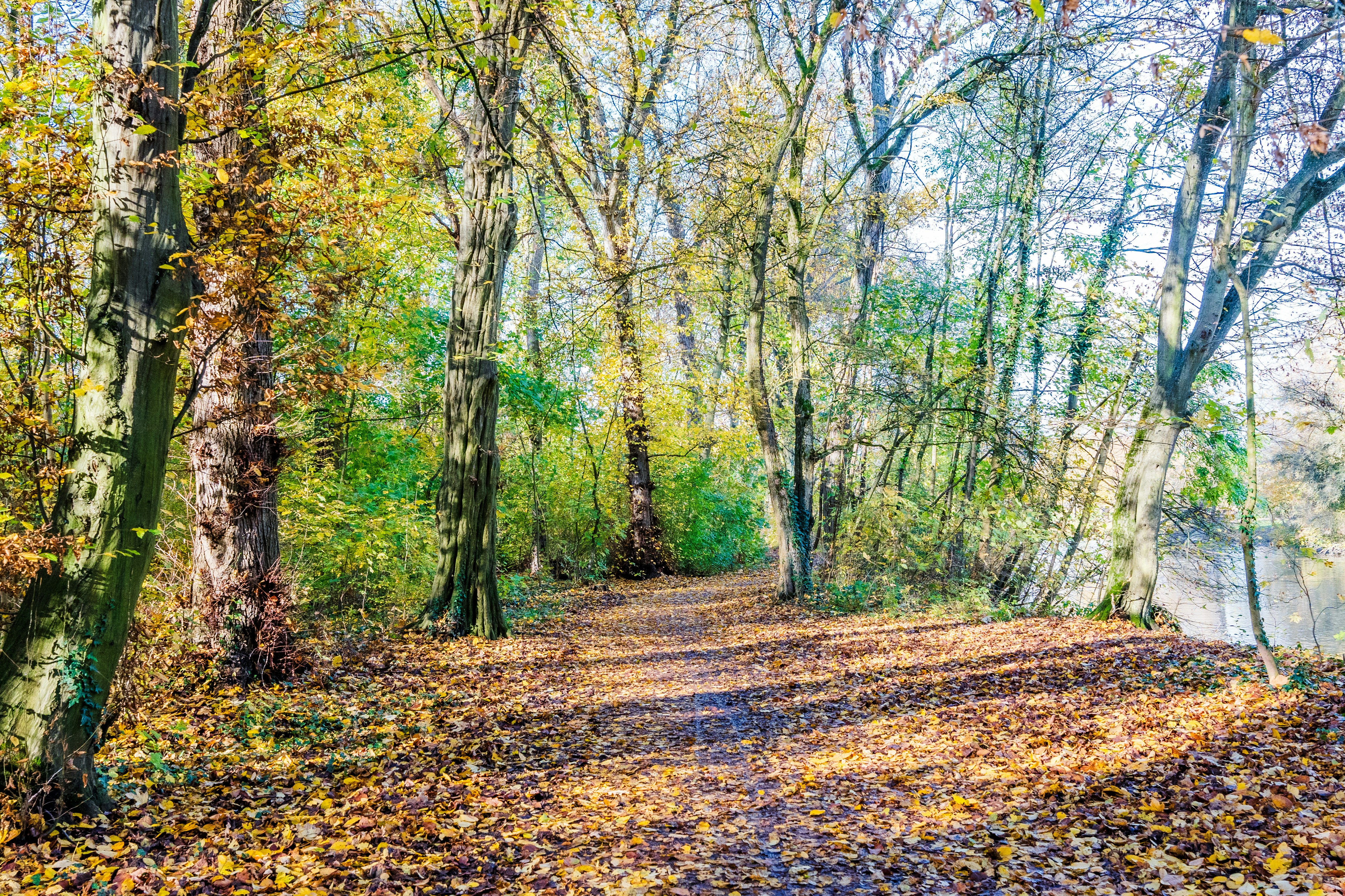 Photo by masoodaslami