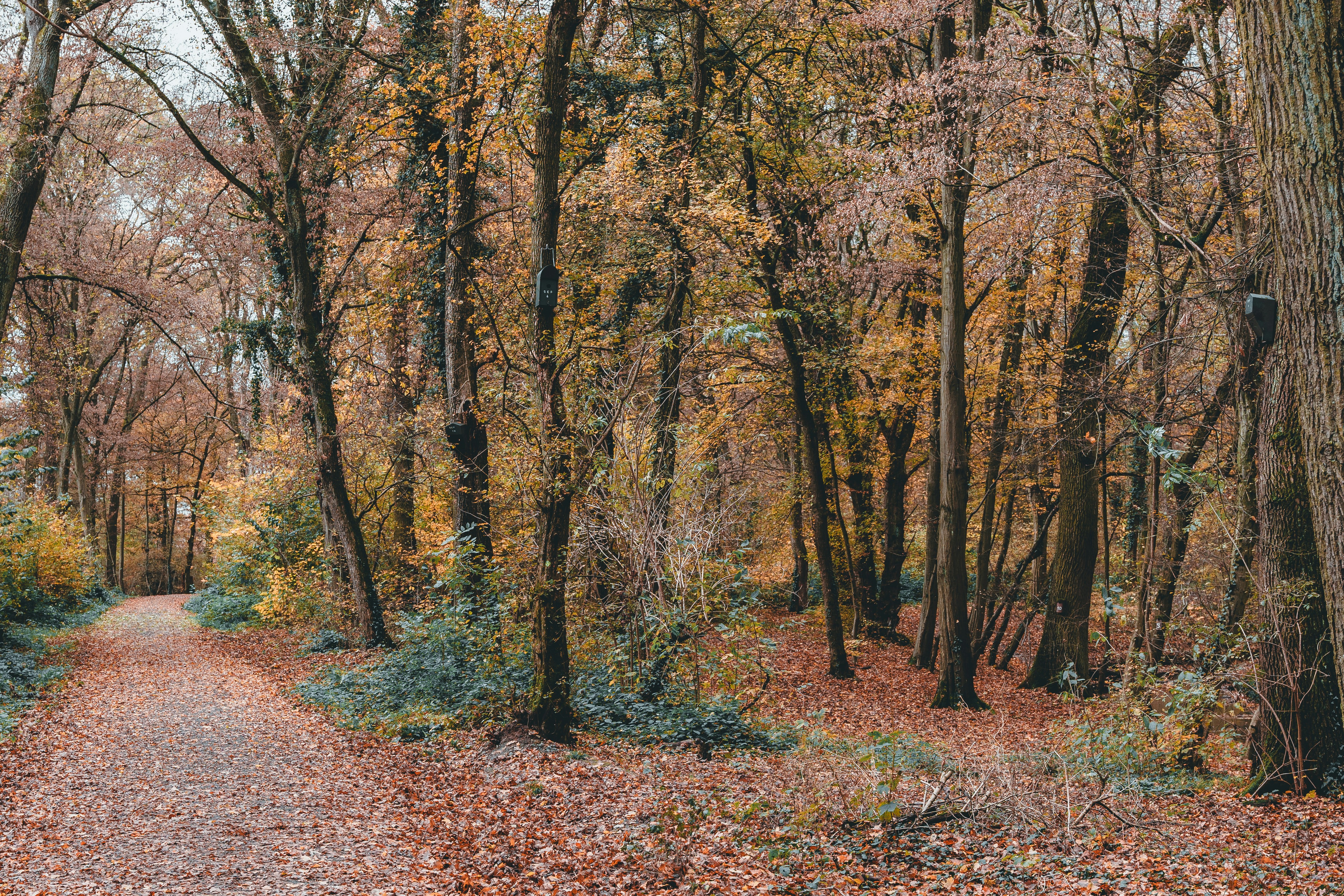 Photo by masoodaslami