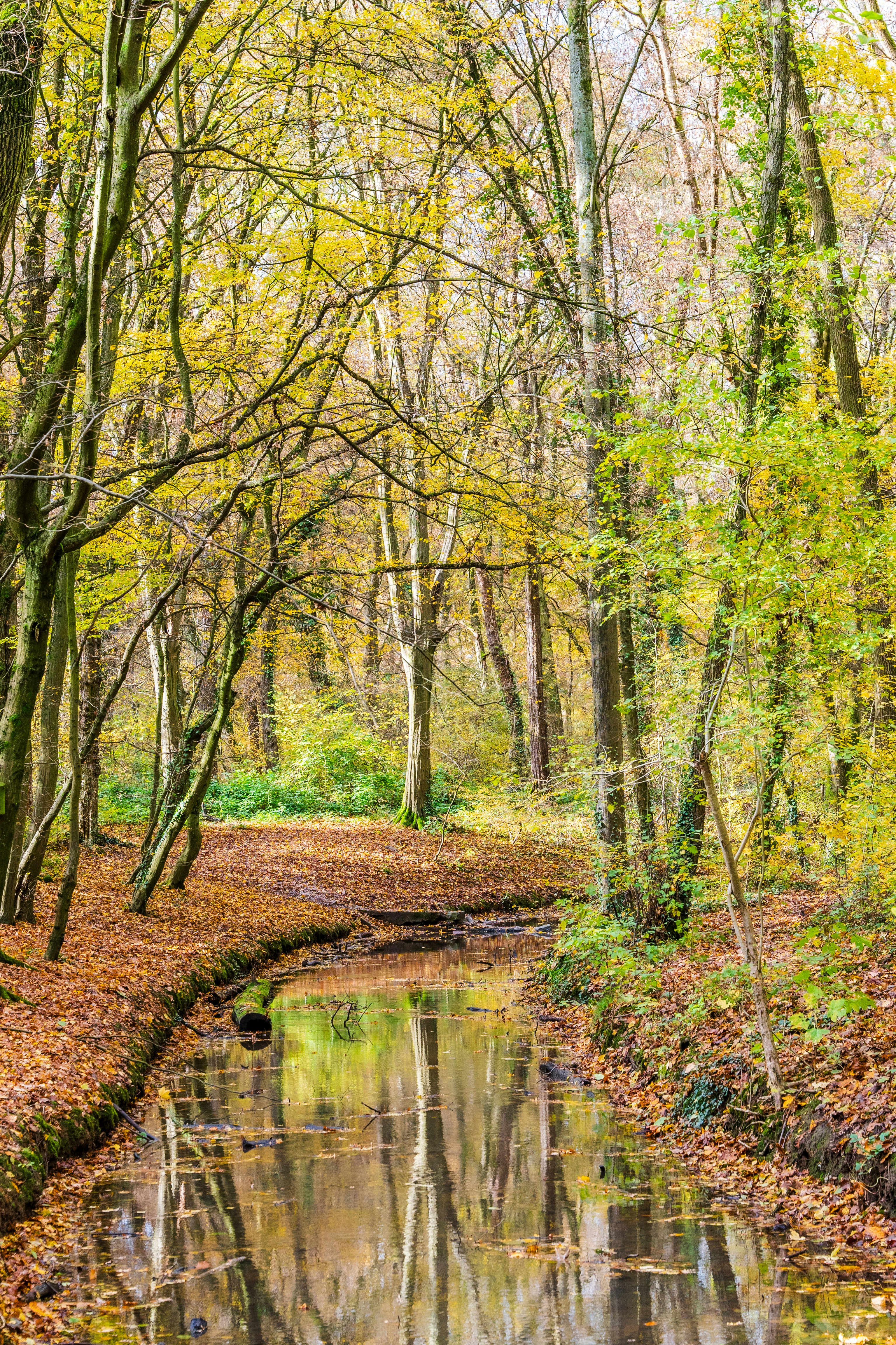 Photo by masoodaslami