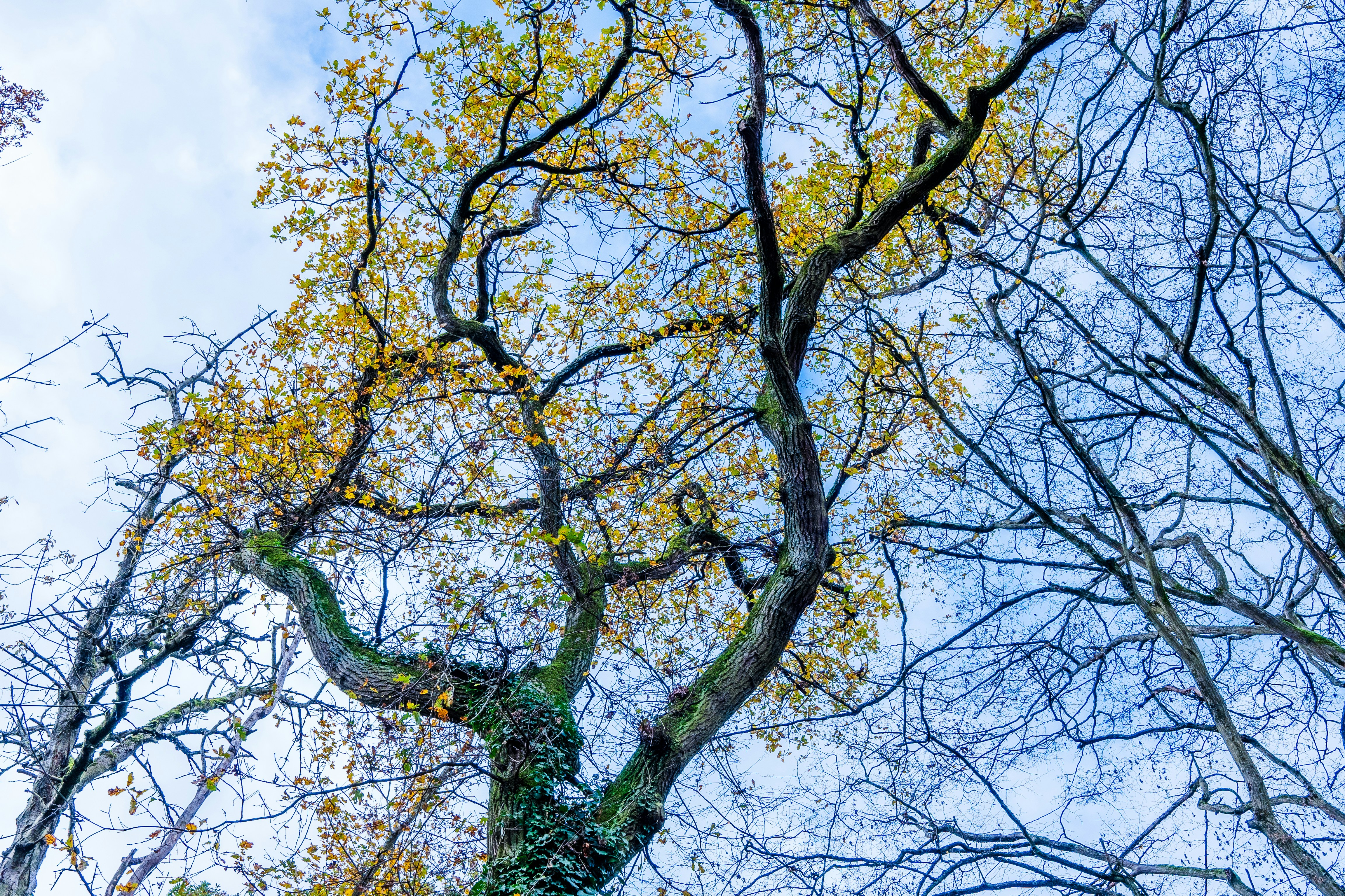 Photo by masoodaslami