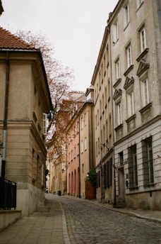 A cozy autumn European street lined with terracotta and ochre leaves.
