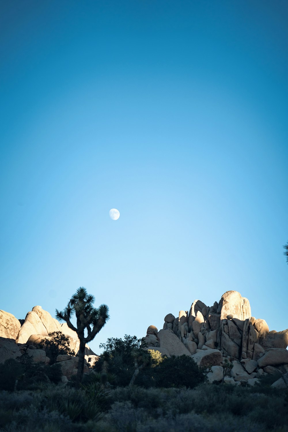 a full moon is seen in the sky above some rocks