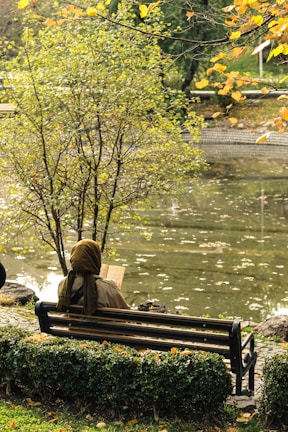 An outdoor scene of a peaceful park bench with someone reading a personal development book.