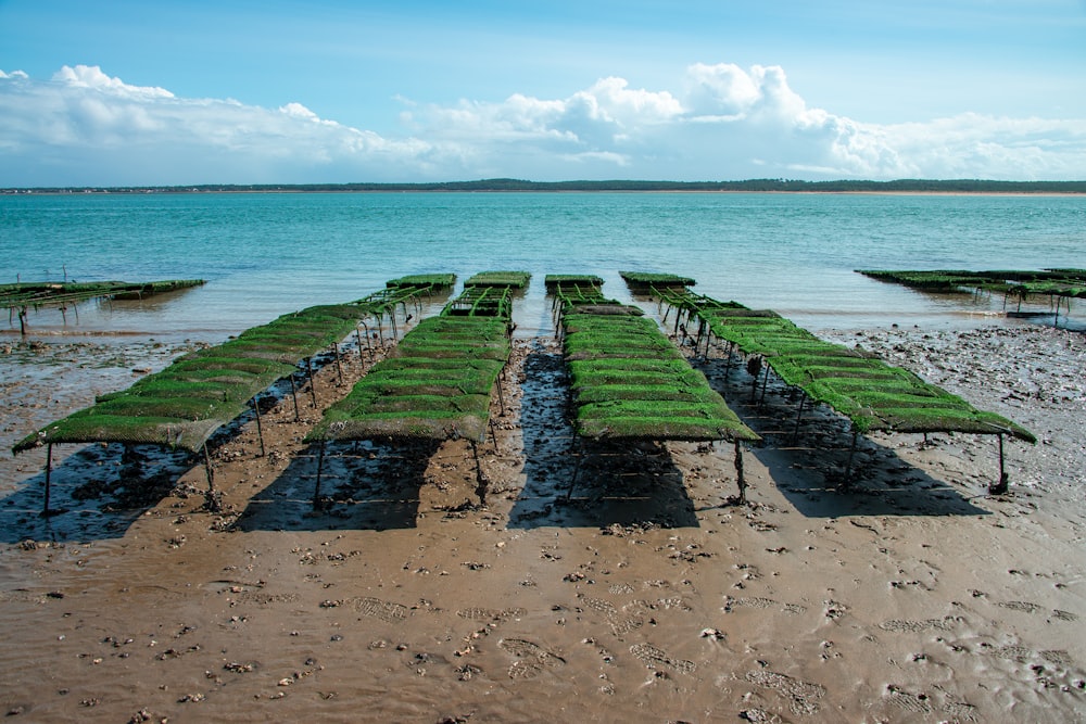 a row of grass covered benches sitting on top of a sandy beach