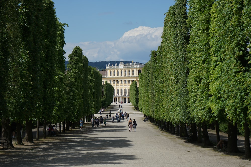 a group of people walking down a road next to tall trees