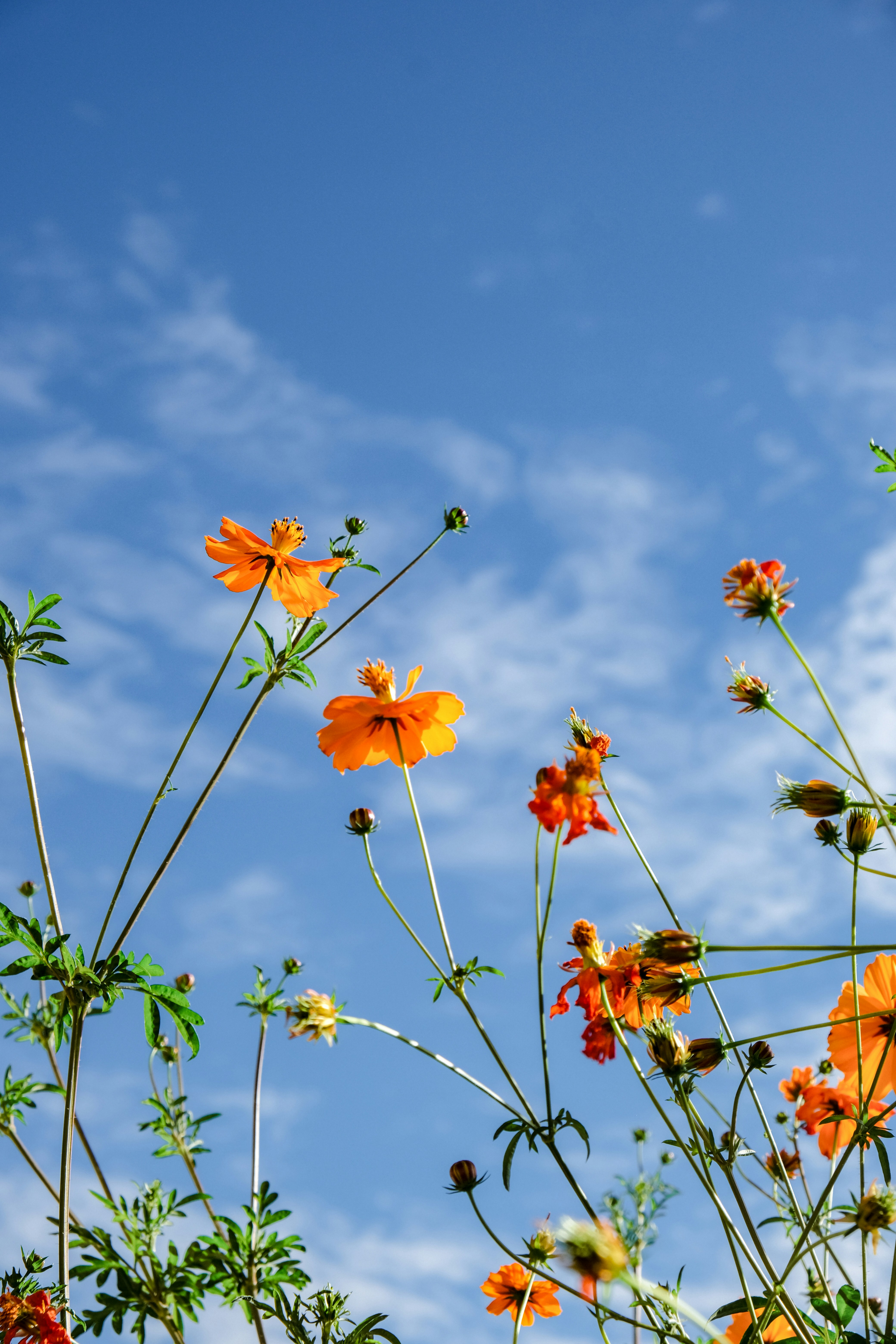 Photo by cestmoisheedy