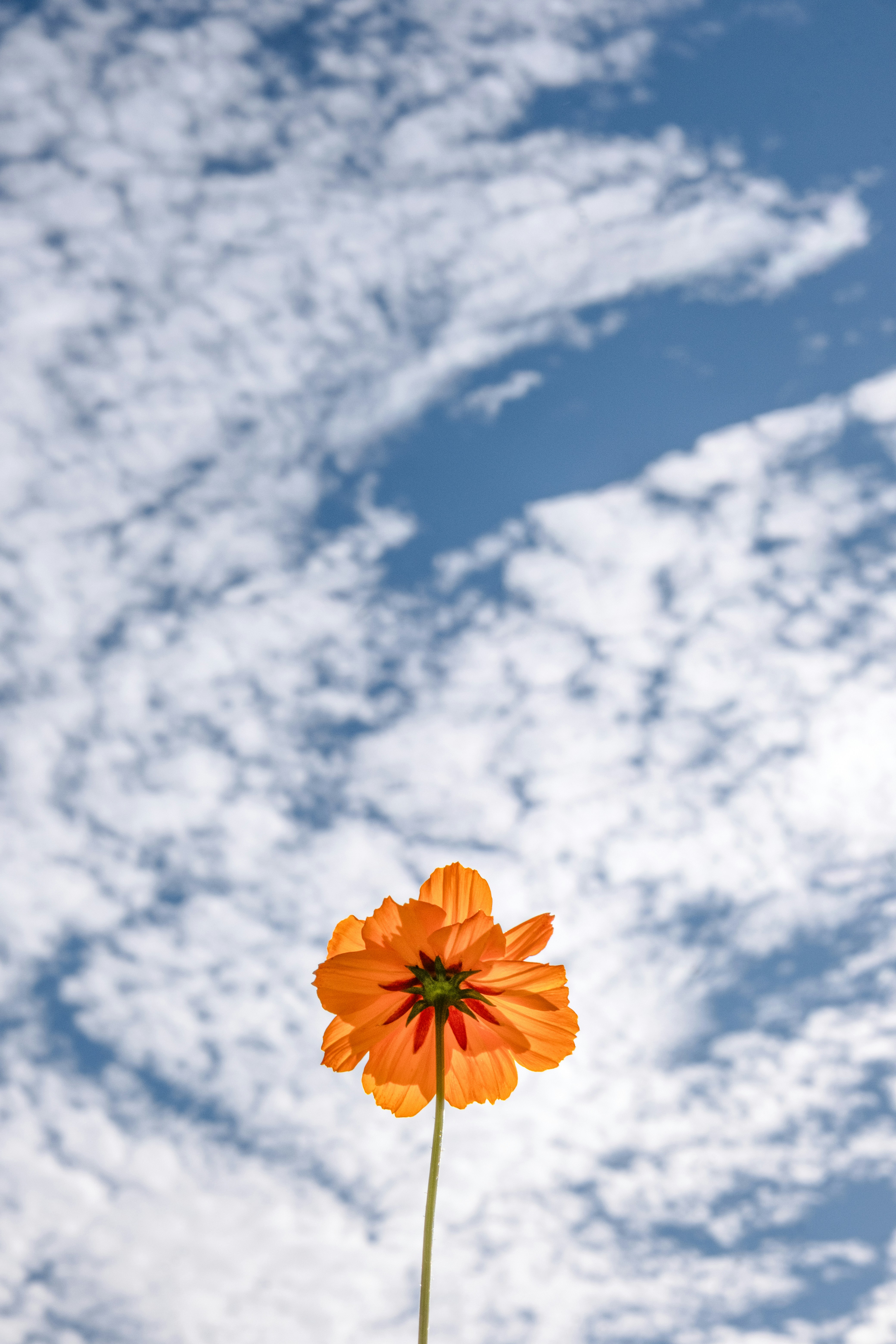 Photo by cestmoisheedy