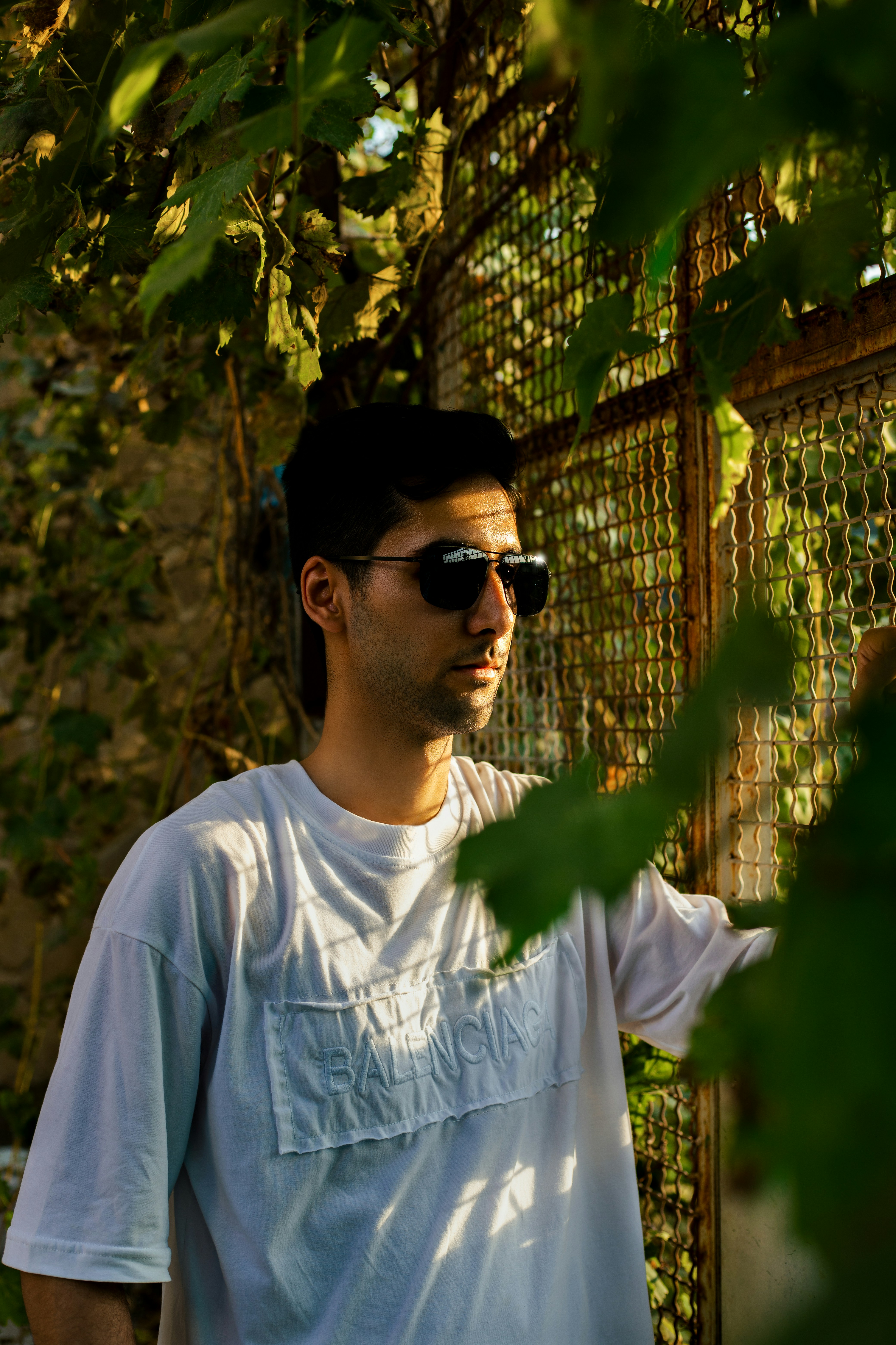 Photo by amirabbaspoor