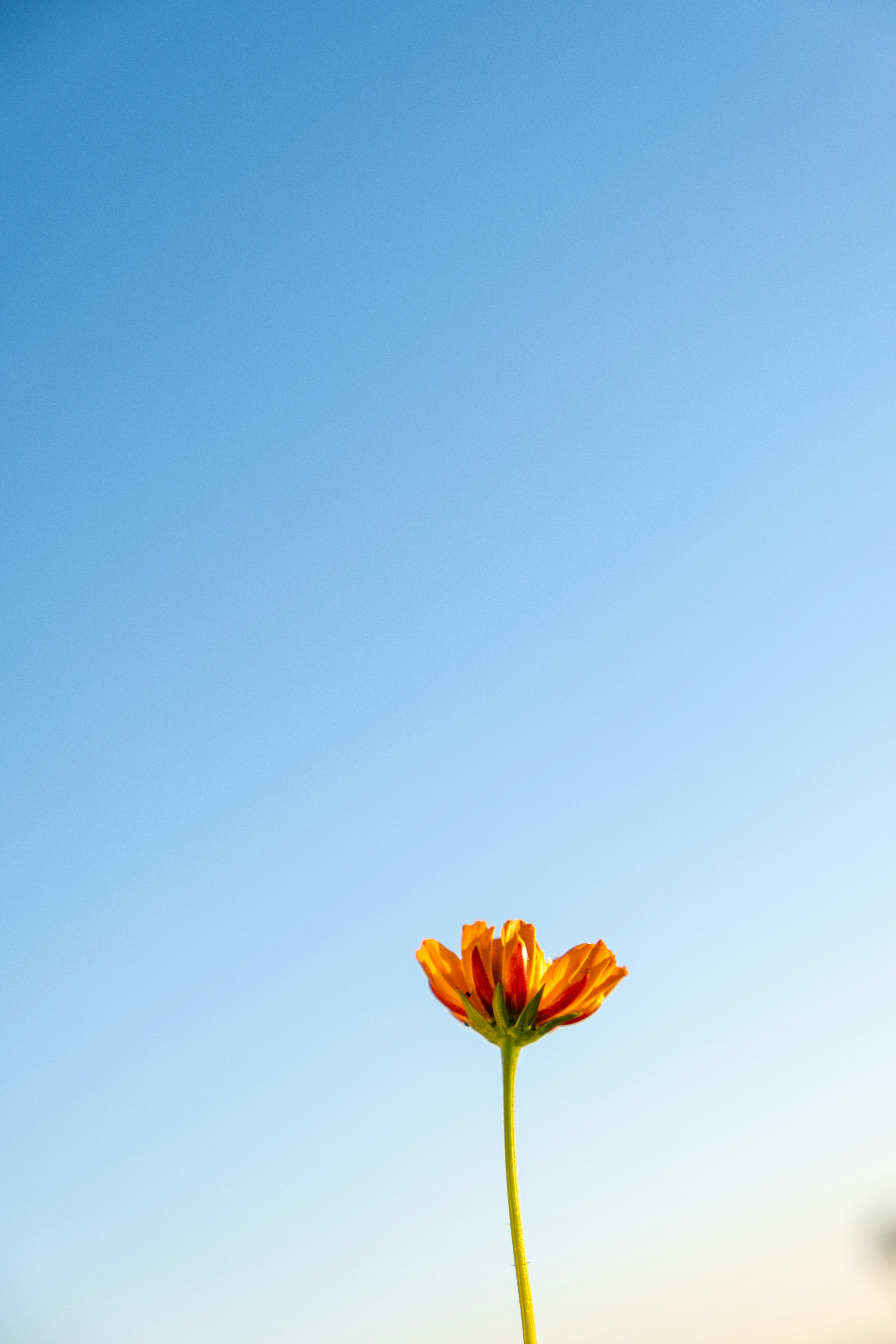 Photo by cestmoisheedy