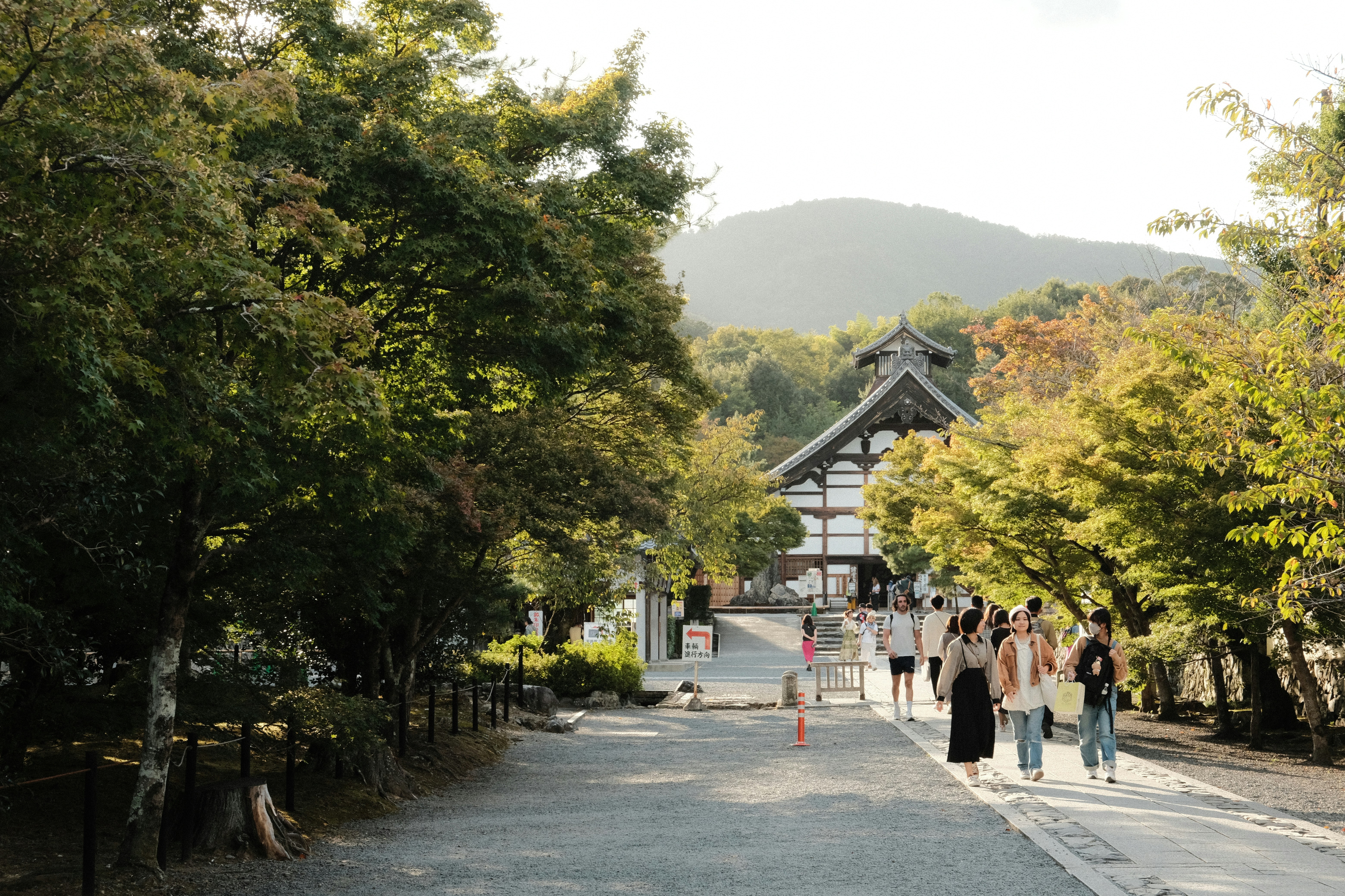 a group of people walking down a path in a park, Ryōan-ji Buddhist Temple in Kyoto, Japan. October 2023.