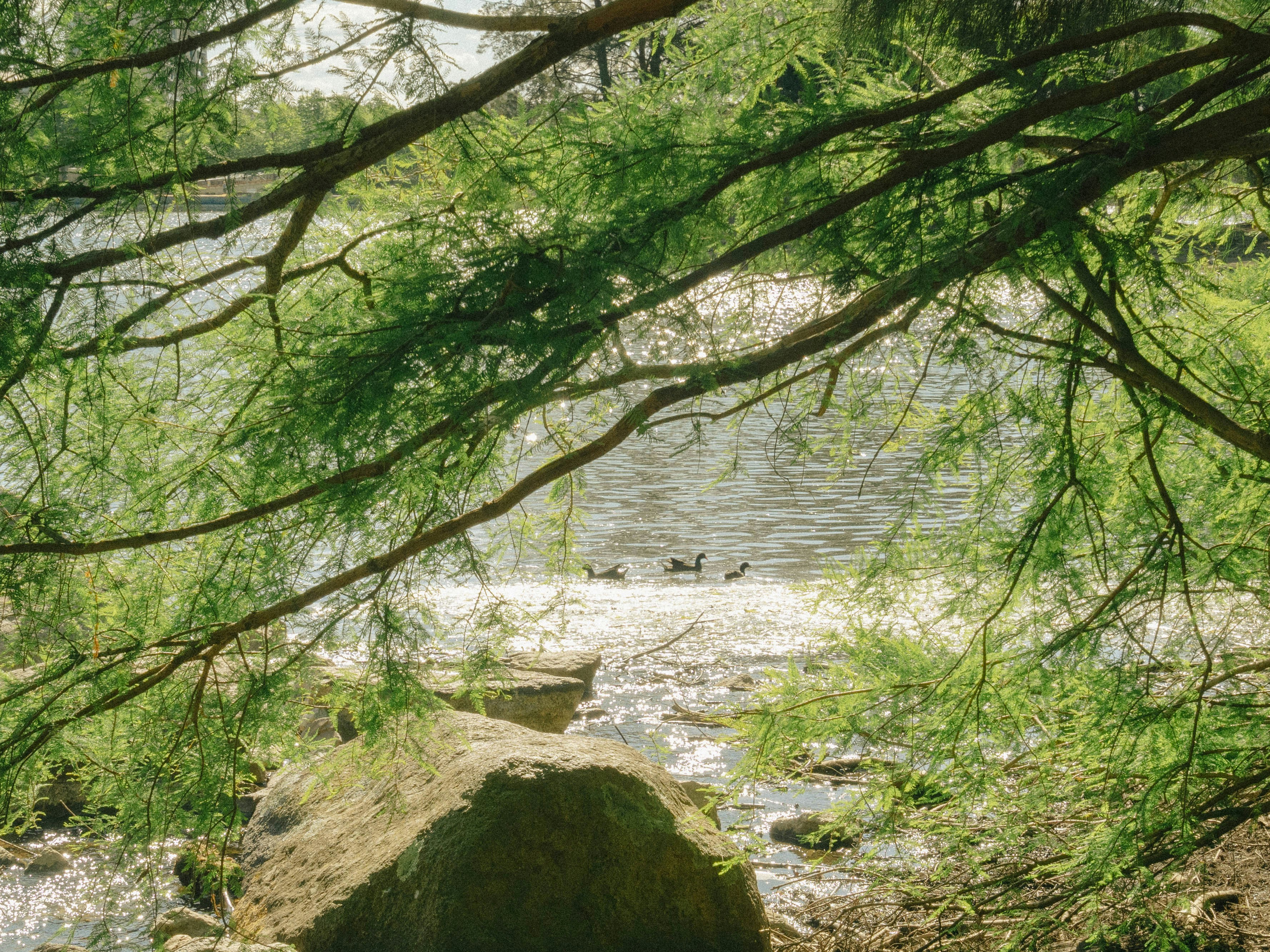 Photo by maivophucthanh